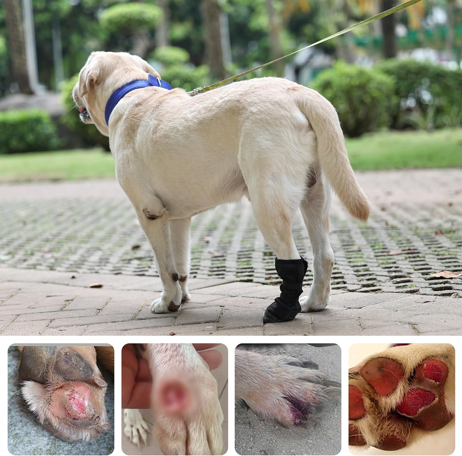Dog Paw Wound Recovery Boot, Breathable Dog Bootie for Injured Paw, Anti-Slip Dog Shoe with Self-Adhesive Strap, Dog Paw Protector for Outdoor Walking & Keep Dogs from Licking Wounds M