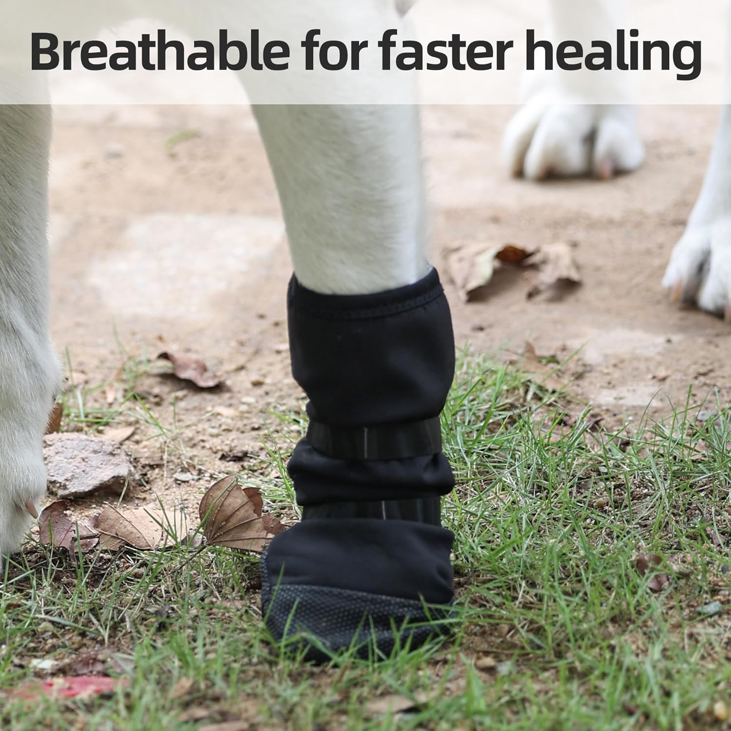 Dog Paw Wound Recovery Boot, Breathable Dog Bootie for Injured Paw, Anti-Slip Dog Shoe with Self-Adhesive Strap, Dog Paw Protector for Outdoor Walking & Keep Dogs from Licking Wounds M