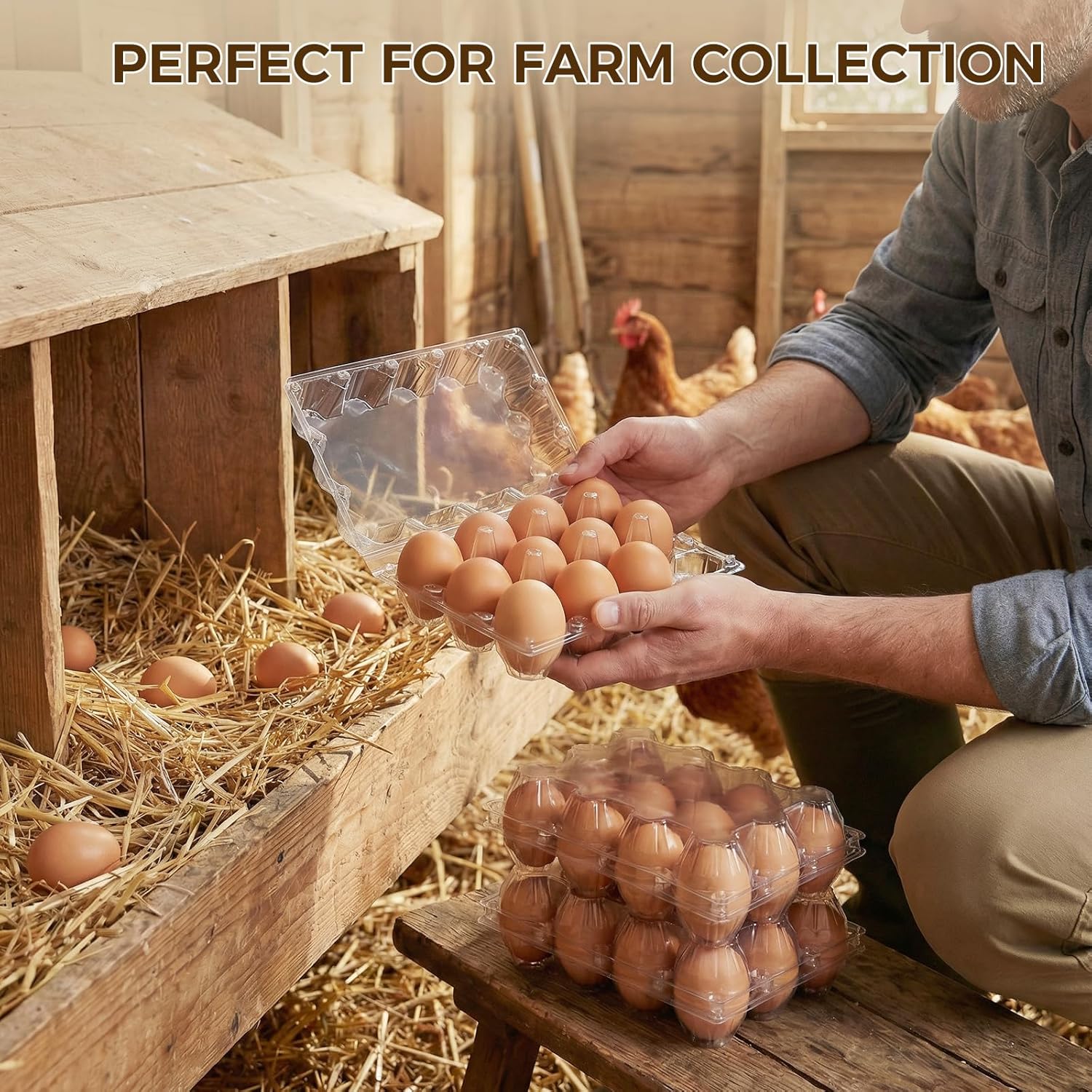 60 PCS 12 Count Plastic Egg Cartons, with 60PCS Date Labels, Clear Reusable Egg Containers Holds for Fresh Medium Eggs Storage, Suitable for Farms, Family, Markets Display