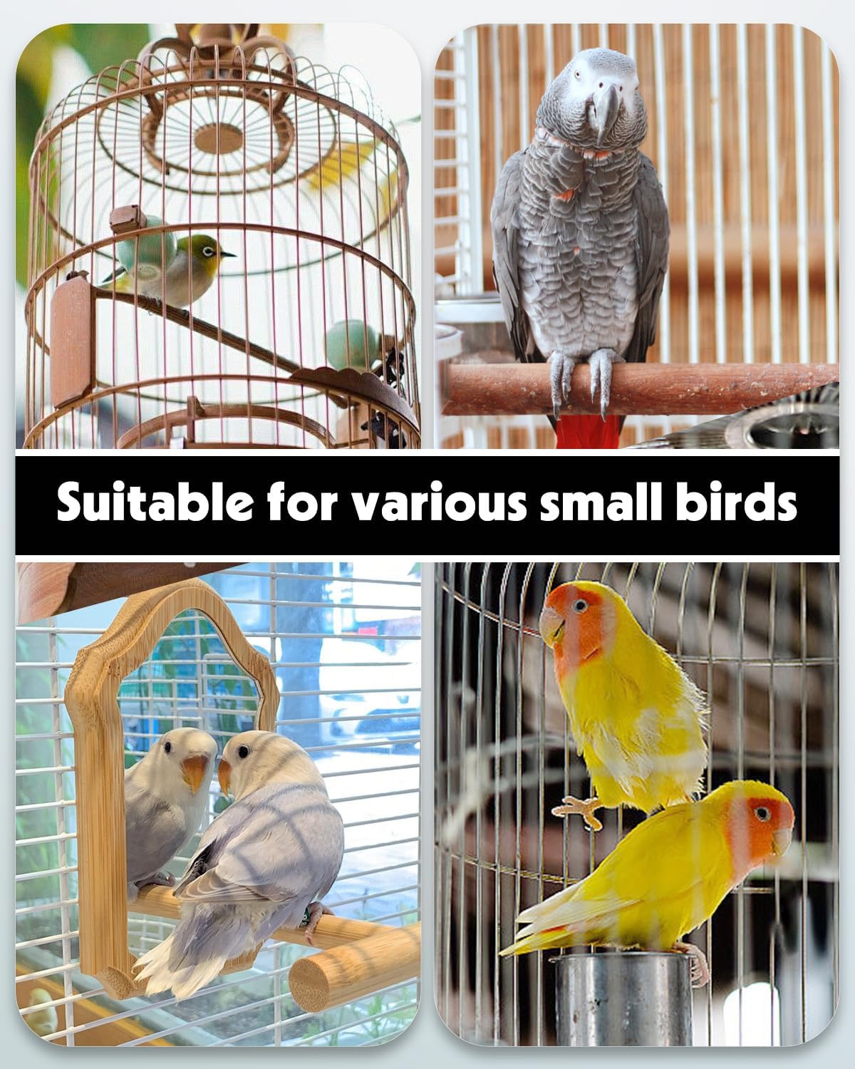Bird Water Dispenser, Automatic Water Feeder, Plastic Cage Water Dispenser, White Parrot Waterer for Small Parakeet Cockatiel Budgie Lovebirds Not Fit for Food Feeding