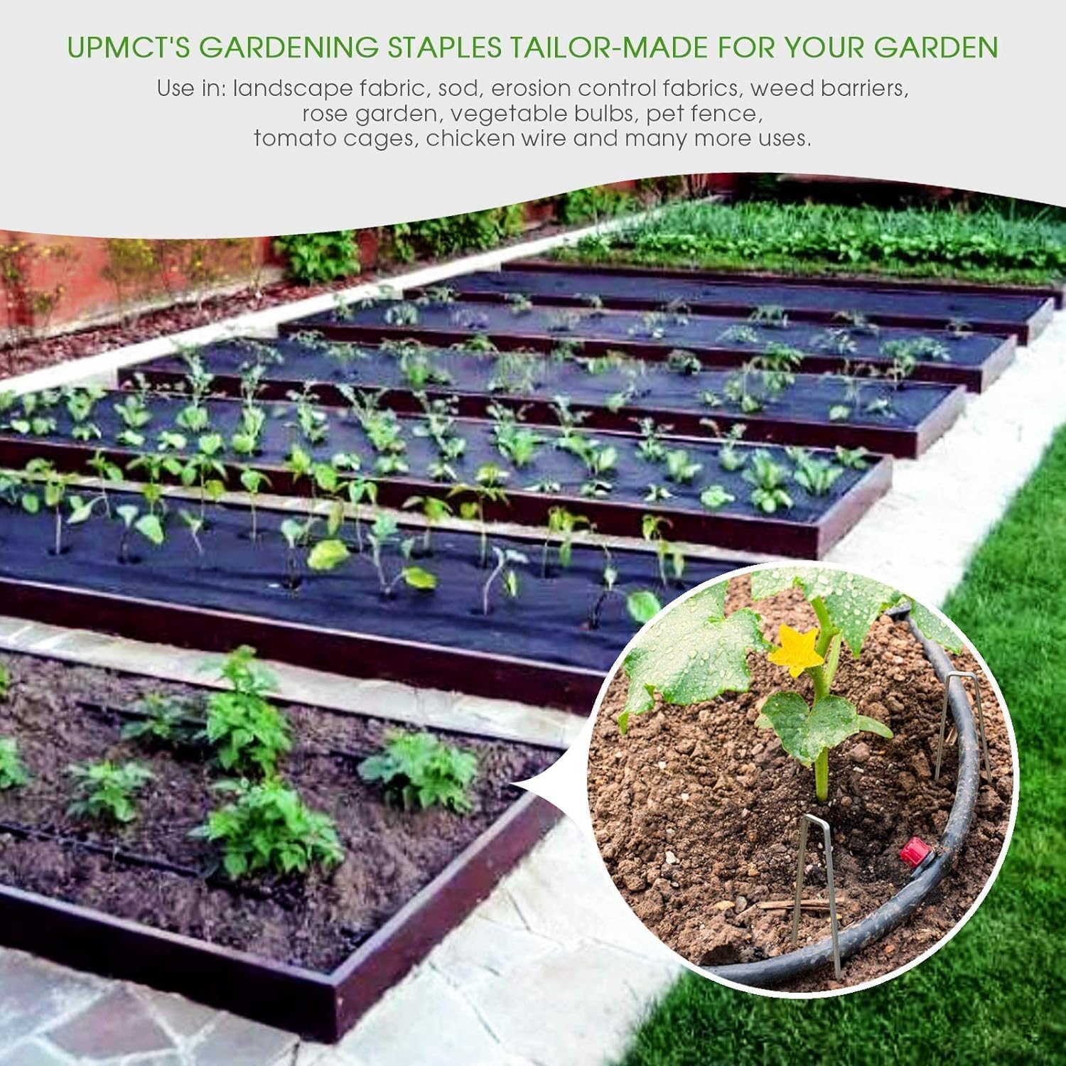 12 Inch Galvanized Garden Landscape Staples Stakes, 25 50 100 PCS Anti-Rust Garden Staples Tent Ground Stakes U-Shaped Landscape Pins for Secure Lawn Fabric, Decoration 25, 12 Inch