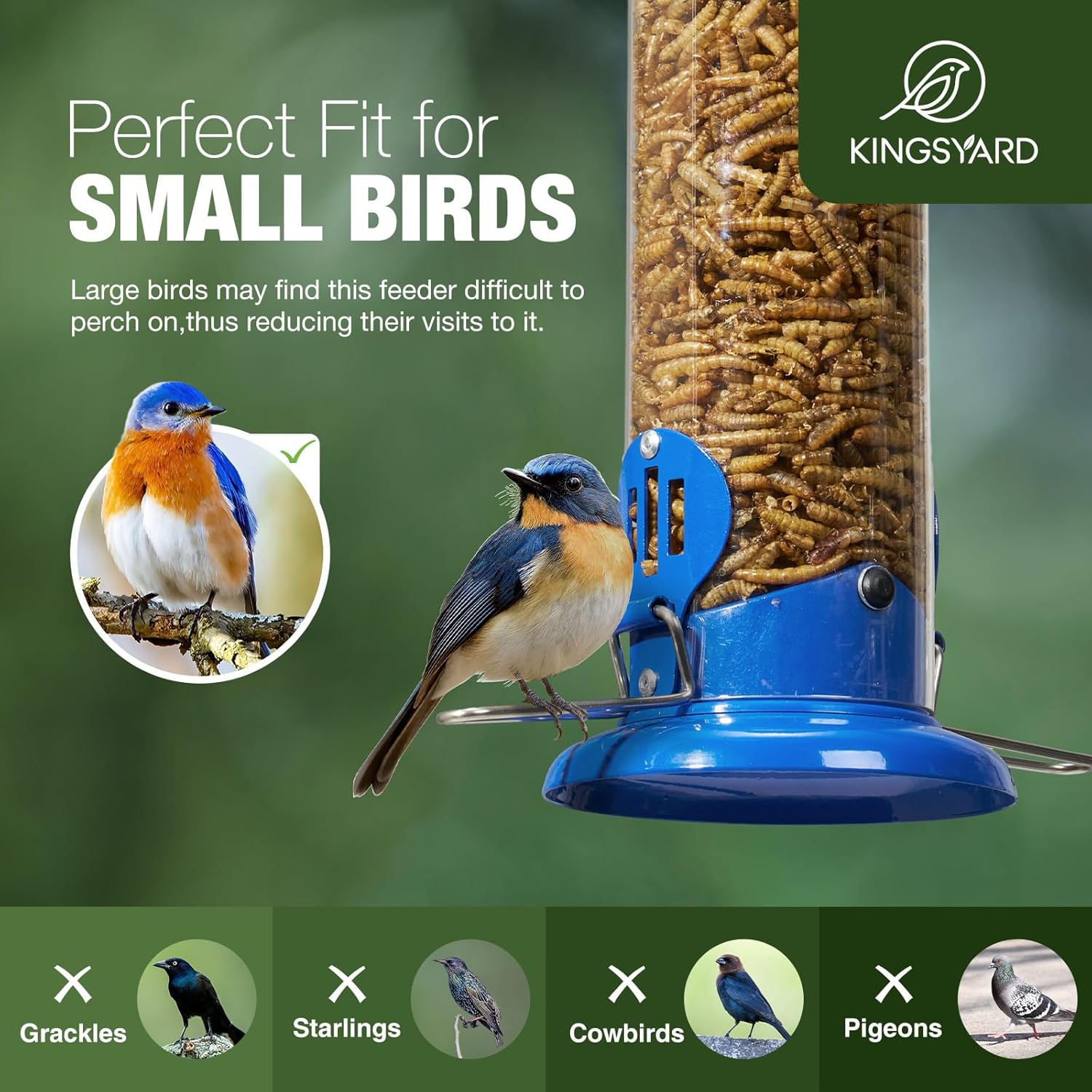 Upgraded Bluebird Feeder for Outdoors Hanging, Metal Mealworm Tube Bird Feeder with Widen Perch for Wild Birds, Squirrel Chew Proof, Easy to Refill & Clean Blue