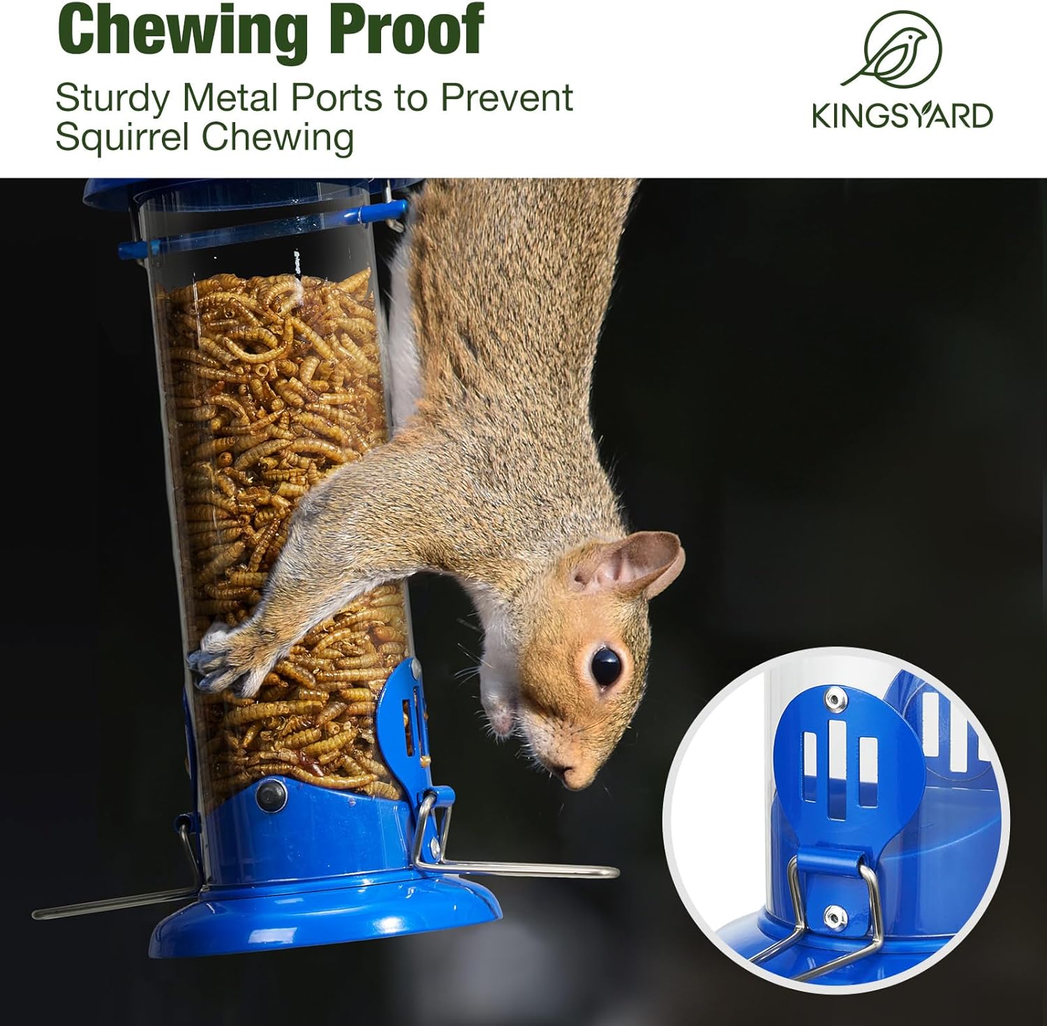 Upgraded Bluebird Feeder for Outdoors Hanging, Metal Mealworm Tube Bird Feeder with Widen Perch for Wild Birds, Squirrel Chew Proof, Easy to Refill & Clean Blue