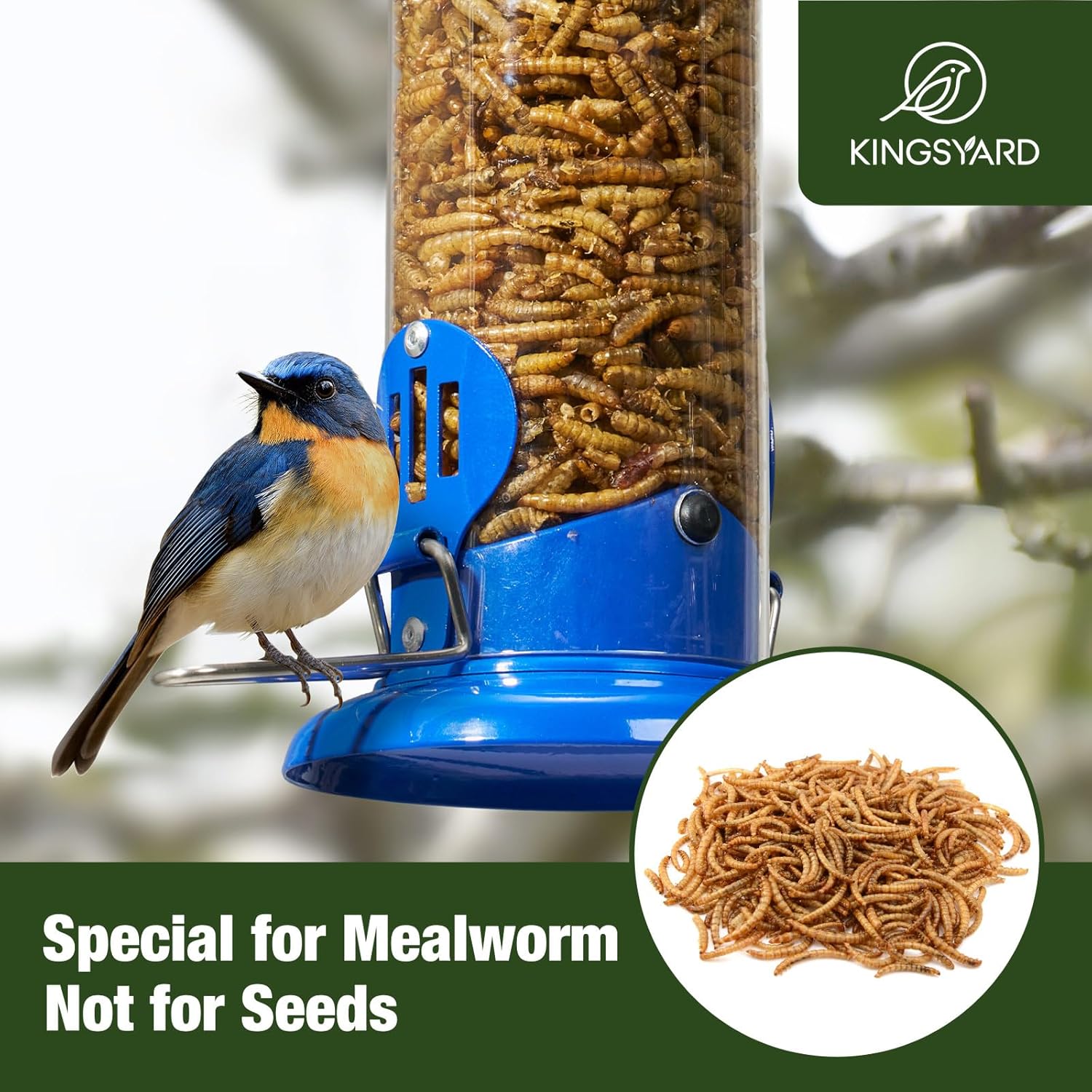 Upgraded Bluebird Feeder for Outdoors Hanging, Metal Mealworm Tube Bird Feeder with Widen Perch for Wild Birds, Squirrel Chew Proof, Easy to Refill & Clean Blue