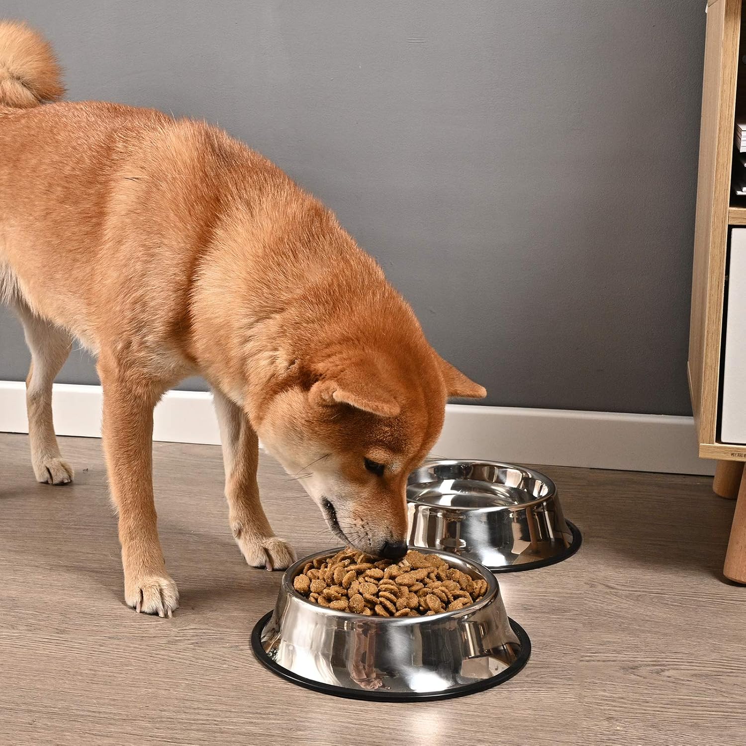 2Packs Stainless Steel Dog Bowl with Anti-Skid Rubber Base for Small/Medium/Large Pet, Perfect Dish, Pets Feeder Bowl and Water Bowl Perfect Choice for Dog Puppy Cat and Kitten 16oz