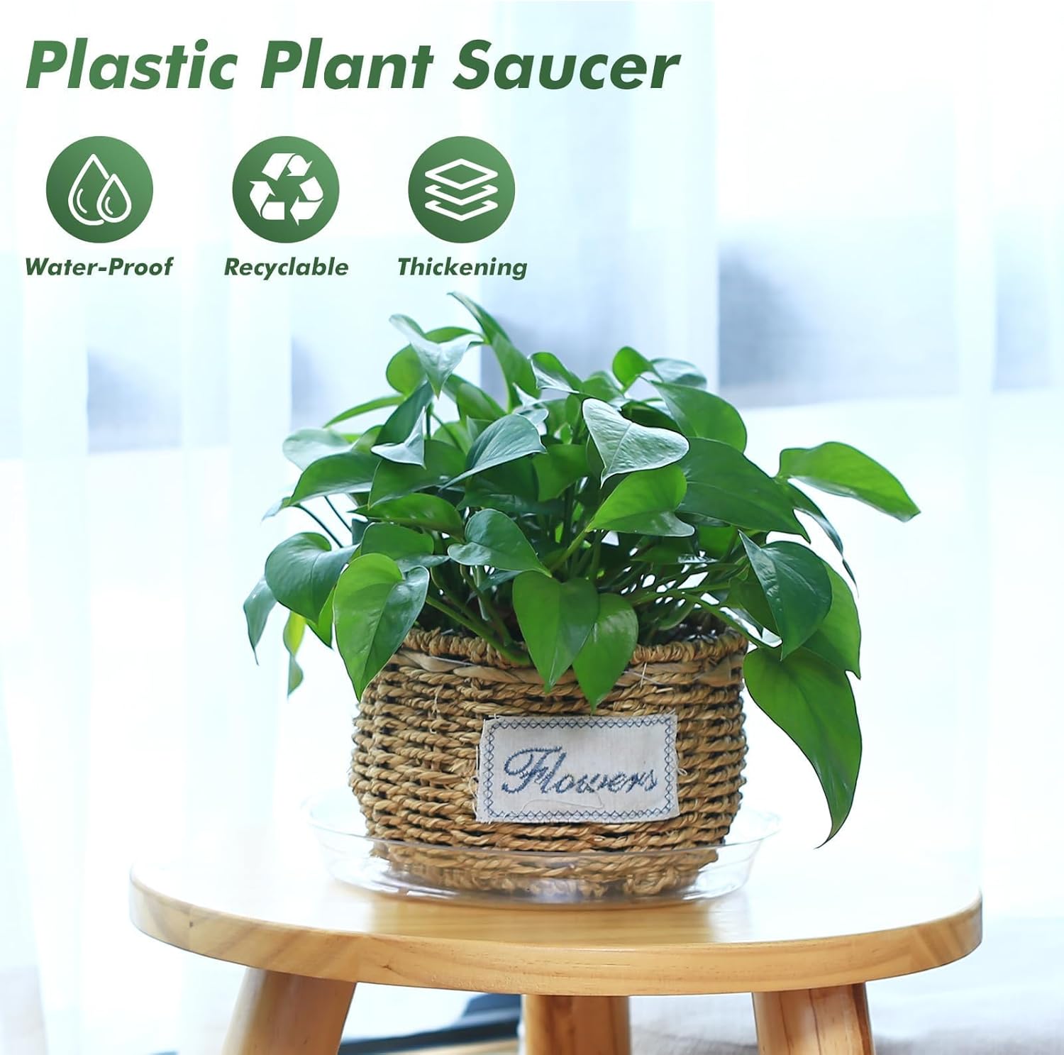 20 Pack 6 Inch Plant Saucers Clear Plastic Plant Saucer Drip Trays Small Plant Plate Dish for Indoor Flower Pots and Planters, Bulk