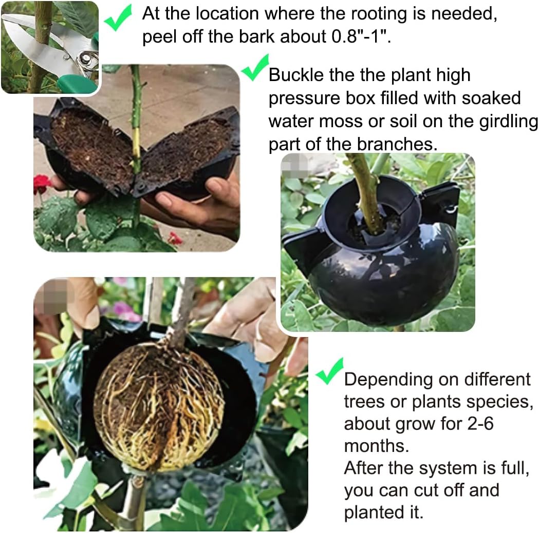 10 PCS Air Layering Propagation Kit with Zip Ties, Reusable Half Transparent Grafting Ball, Air Layering Pods Clear, Plant Rooting Grafting Box for Fast Propagation Plants Medium