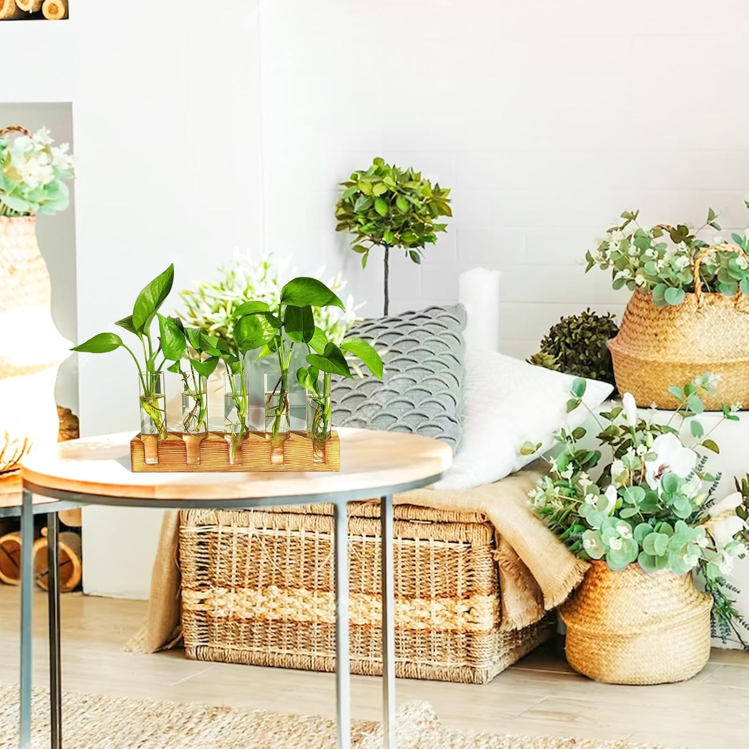 Plant Propagation Station, Plant Terrarium with Wooden Stand, Plants Pots for Hydroponics, Small Birthday Gardening Gifts for Women Mom Plants Lovers Unique - 5 Glass Test Tubes Vases