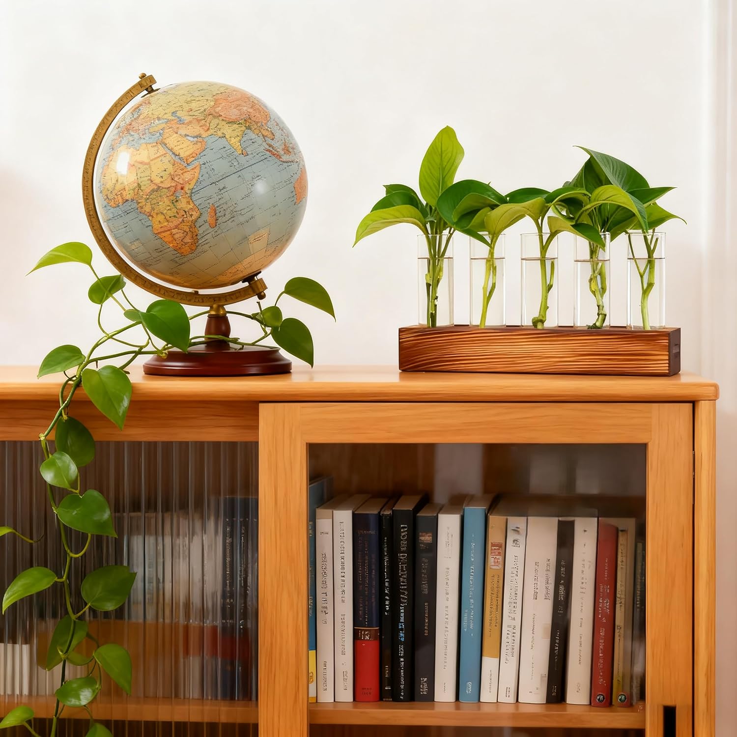 Plant Propagation Station, Plant Terrarium with Wooden Stand, Plants Pots for Hydroponics, Small Birthday Gardening Gifts for Women Mom Plants Lovers Unique - 5 Glass Test Tubes Vases