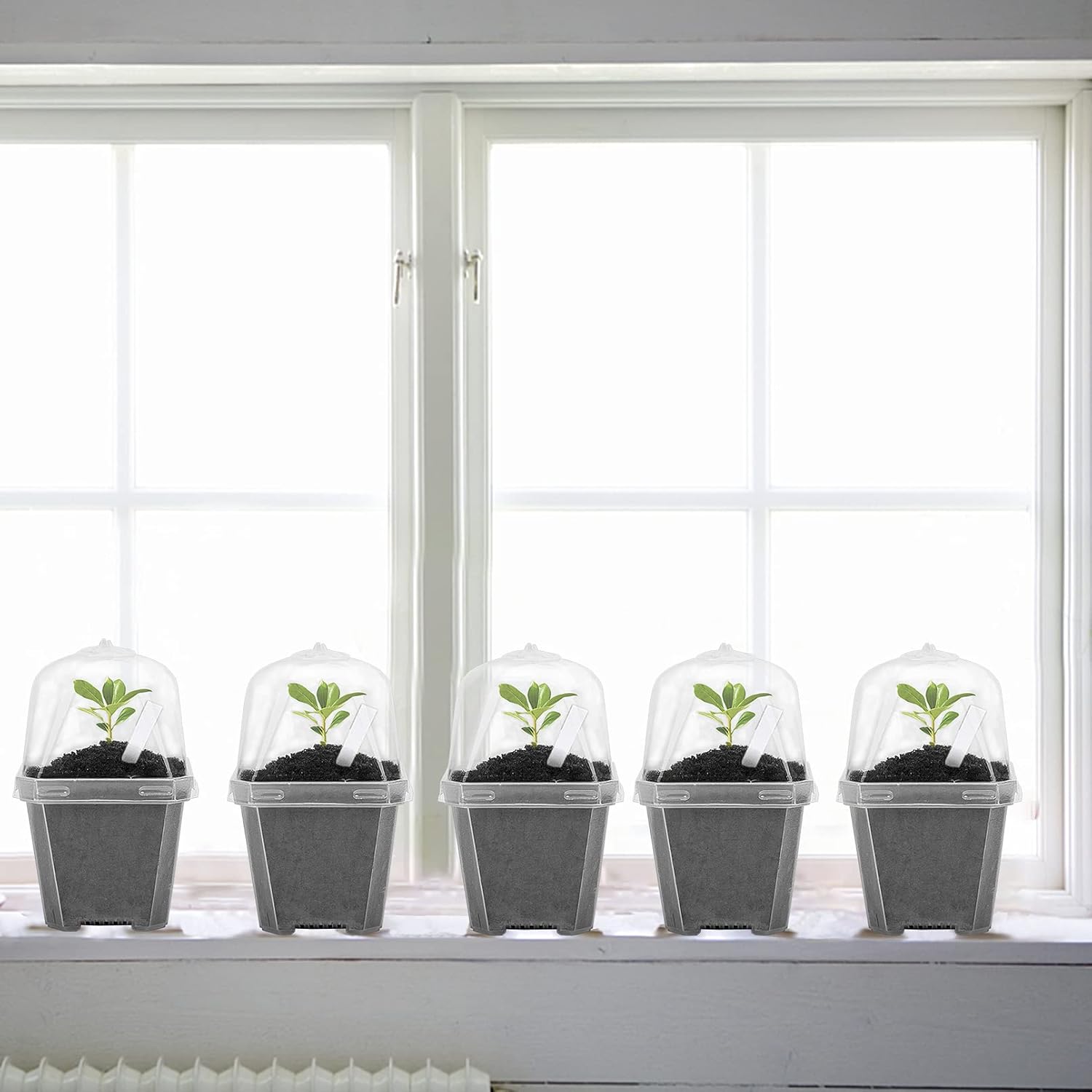 10PCS Clear Plant Nursery Pots with Humidity Dome - 3" Plastic Gardening Pot with Labels, Durable Plastic Plant Container for Seedlings/Vegetables/Succulents/Cuttings
