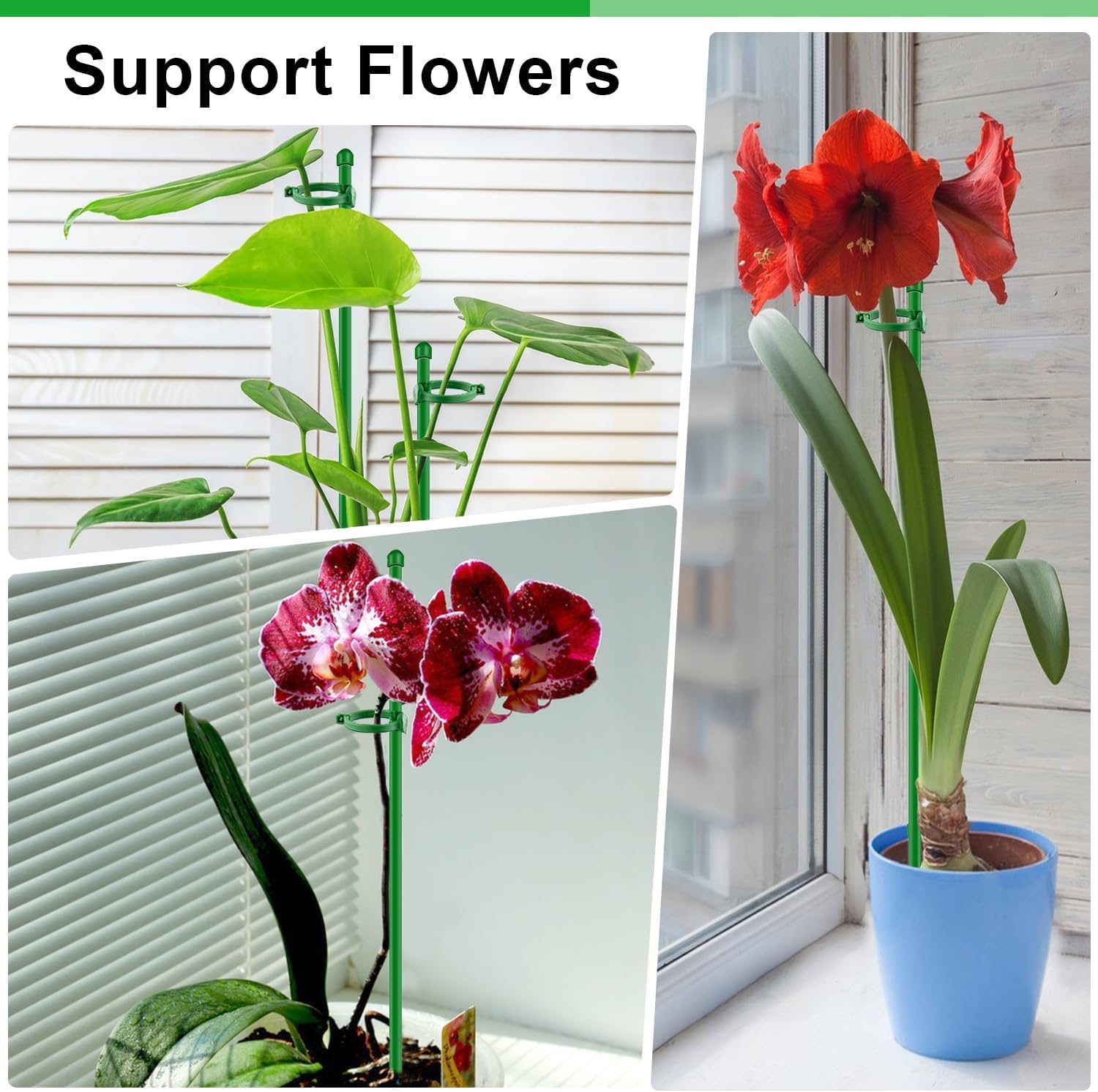 20Pcs Plant Support Stakes 17 inch Garden Orchid Sticks Extended to 3ft 4ft 5ft Plant Poles with Clips for Indoor Outdoor Potted Tomato Rose Amaryllis Vegetables Comes with 20 Ties