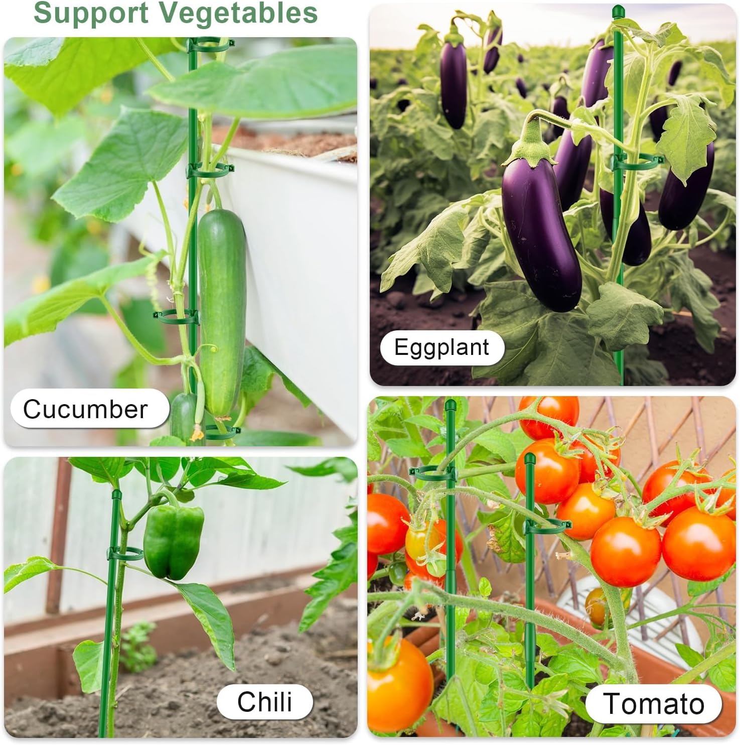 20Pcs Plant Support Stakes 17 inch Garden Orchid Sticks Extended to 3ft 4ft 5ft Plant Poles with Clips for Indoor Outdoor Potted Tomato Rose Amaryllis Vegetables Comes with 20 Ties