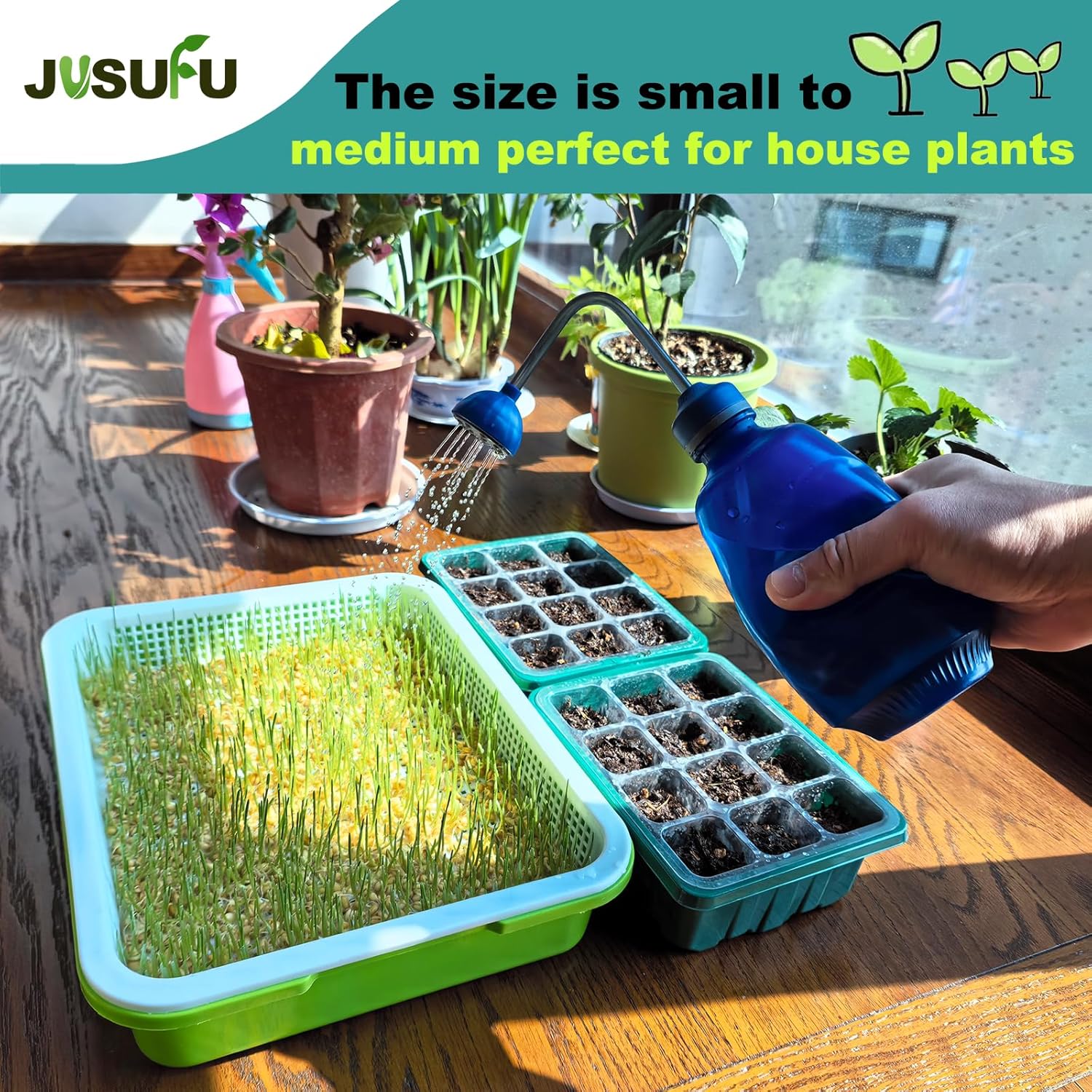 Watering Can for Seedlings, Small Watering Can for House Plant Garden Flower 15oz/0.45l Blue