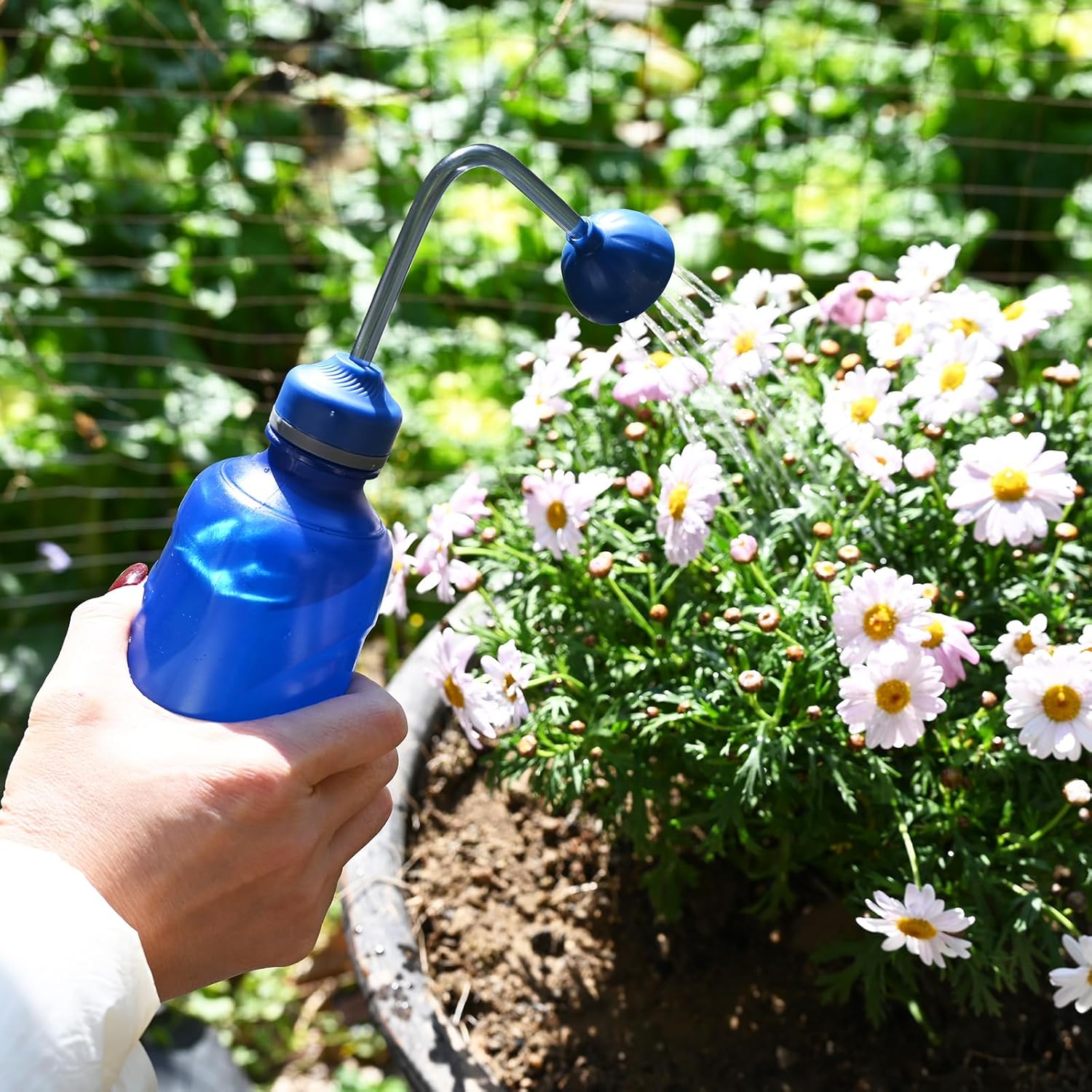 Watering Can for Seedlings, Small Watering Can for House Plant Garden Flower 15oz/0.45l Blue