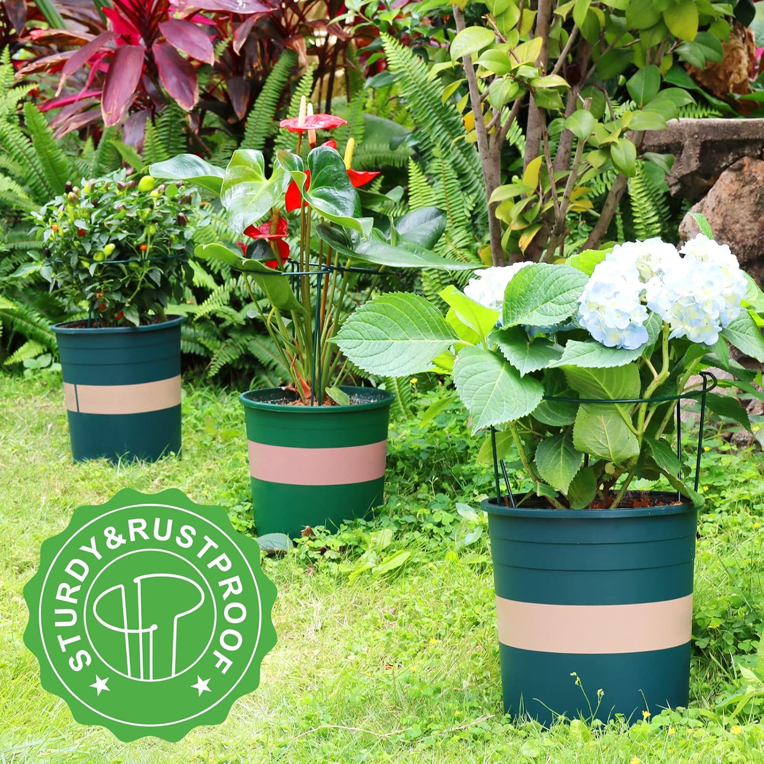 6 Pack Plant Support Plant Stakes, Metal Peony Support, Garden Plant Supports, Plant Cage, Plant Support Ring, Plant Support Stakes for Peony, Tomato, Hydrangea, Indoor Plants, 9.8 W x 15.7 H