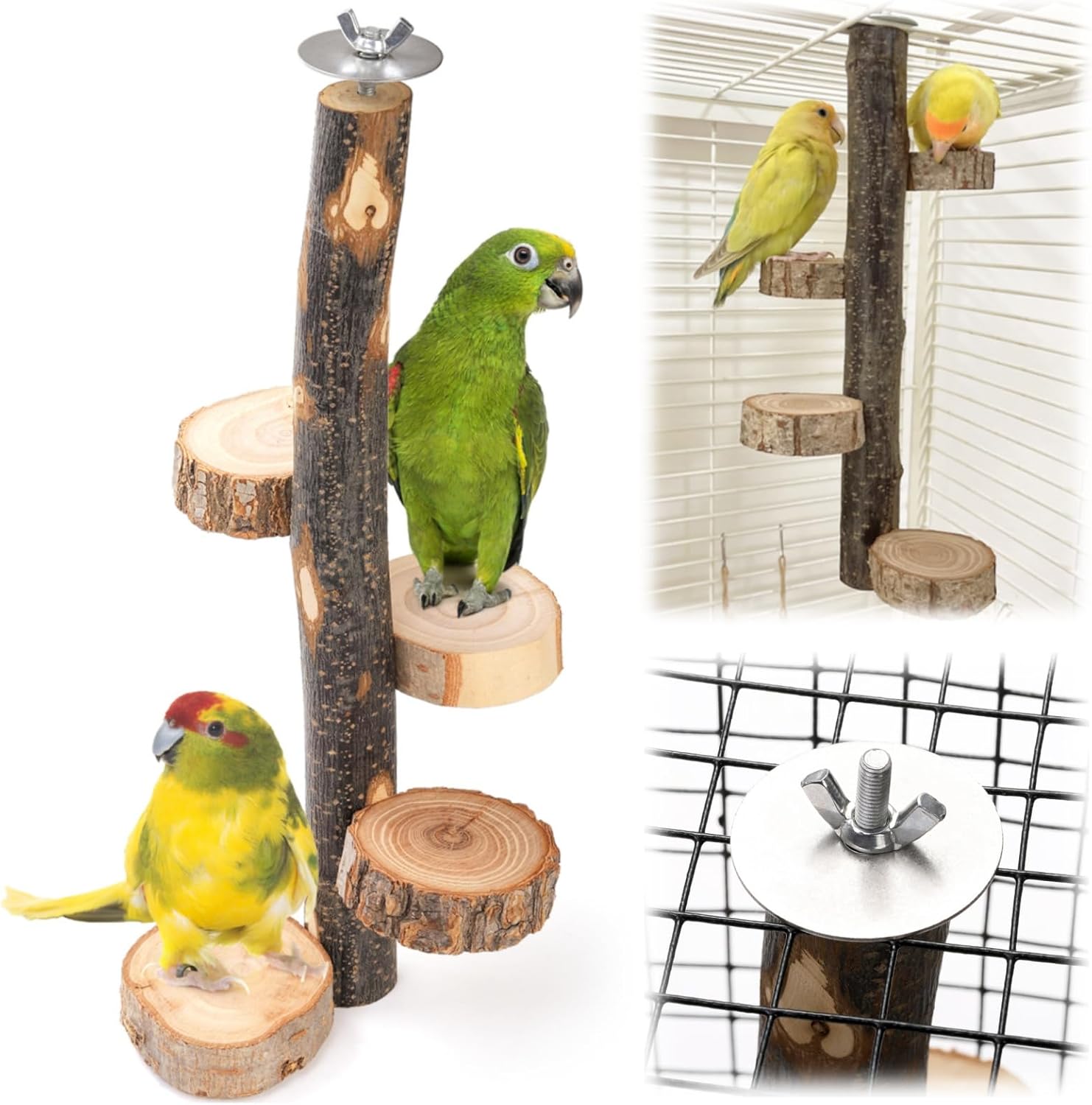 Natural Wood Bird Perch, 12 Inch Parrot Perch Stand for Cage, Small Animals Hanging & Platforms Parakeet Parrots Cockatiel, Conure, Budgie, Macaw, Cage Accessories