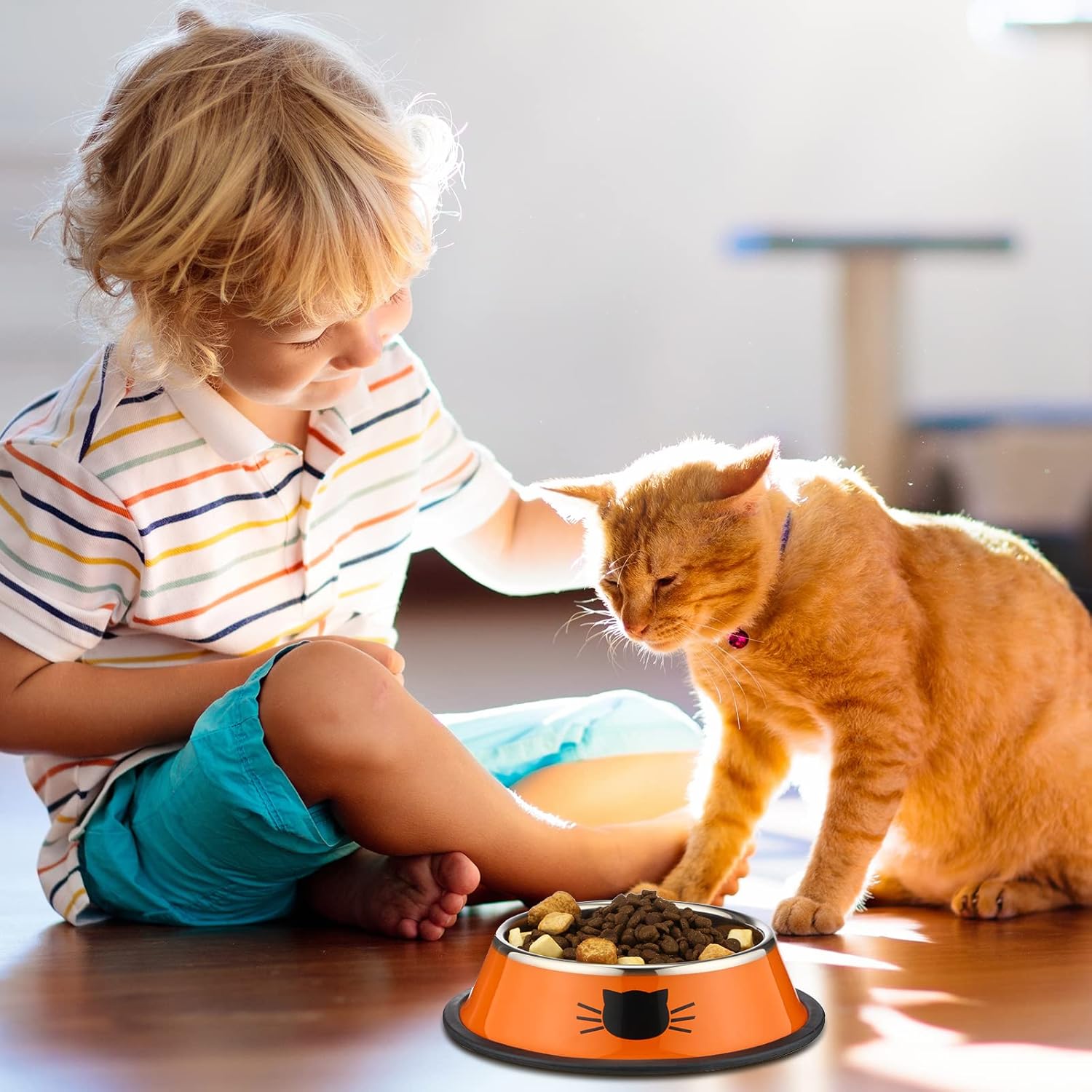 6 Pcs Cat Bowls for Food and Water Dishes Stainless Steel Pet 7 oz Anti Slip Metal Dish with Removable Rubber Base Thick Feeding Indoor Kitten Small Dog Classic Color Classic Color