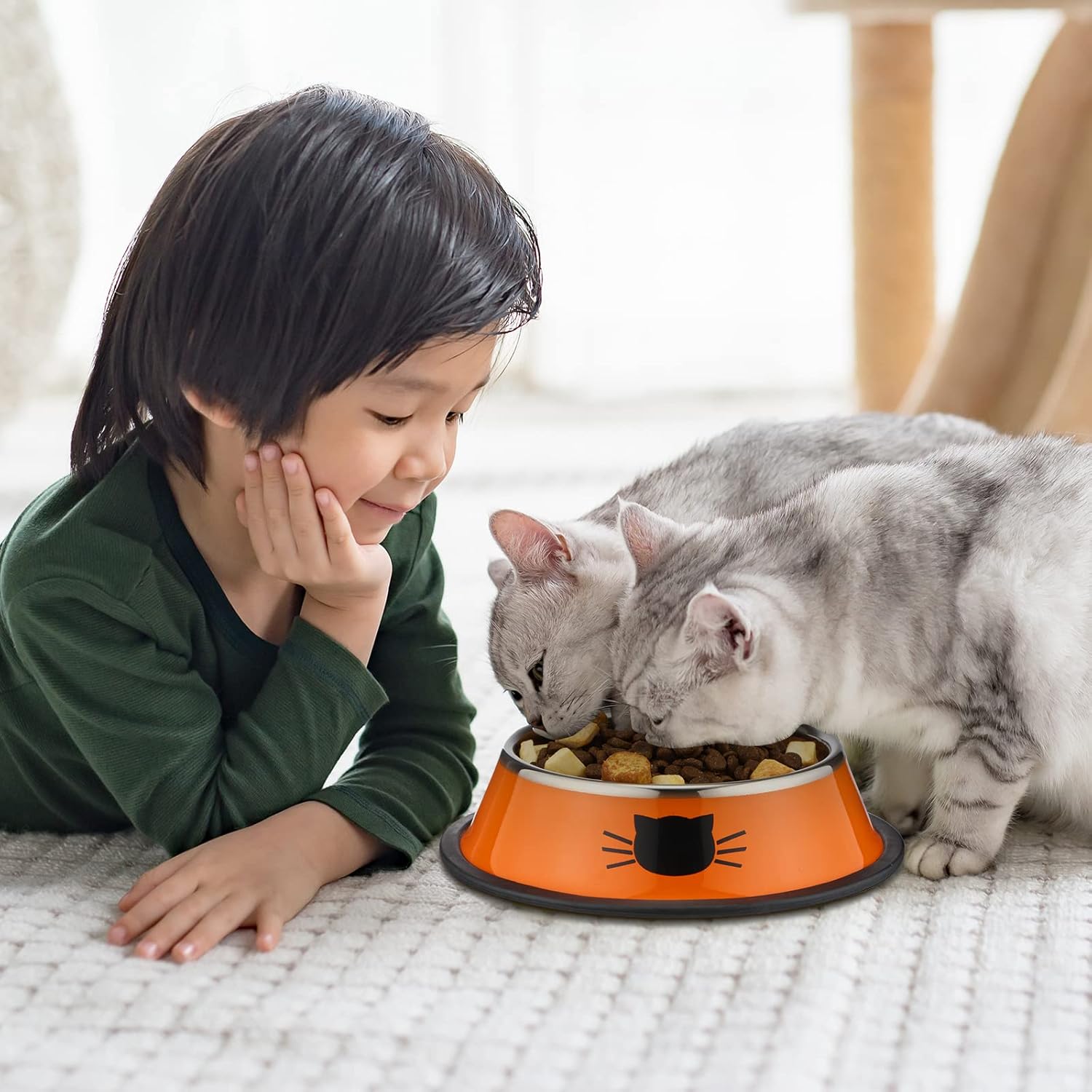 6 Pcs Cat Bowls for Food and Water Dishes Stainless Steel Pet 7 oz Anti Slip Metal Dish with Removable Rubber Base Thick Feeding Indoor Kitten Small Dog Classic Color Classic Color