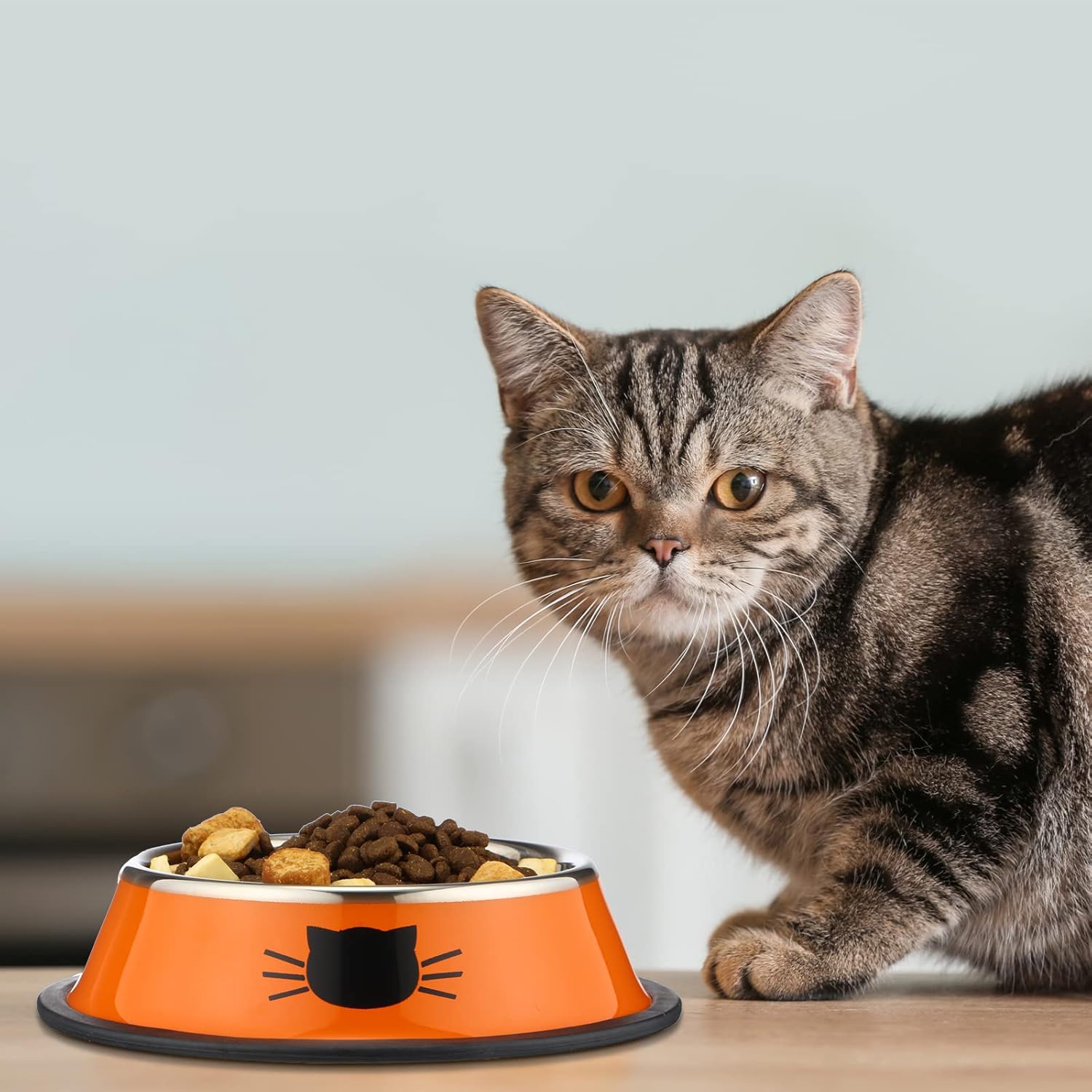 6 Pcs Cat Bowls for Food and Water Dishes Stainless Steel Pet 7 oz Anti Slip Metal Dish with Removable Rubber Base Thick Feeding Indoor Kitten Small Dog Classic Color Classic Color