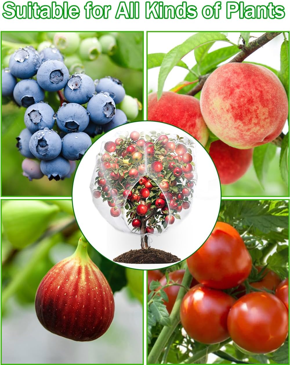 8 x 8ft Large Fruits Tree Netting, Insect Bird Barrier Tree Net with Drawstring and Zipper, Plant Cover Fruit Tree Protection to Prevent Tomato Blueberry Vegetables from Squirrels Birds