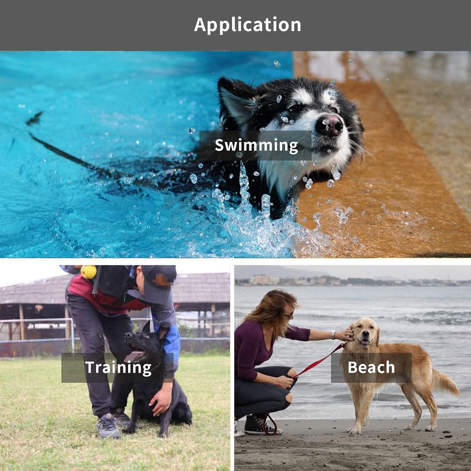 Waterproof Long Leash Durable Dog Recall Training Lead Great for Outdoor Hiking, Training, Yard, Beach and Swimming Black, 30ft