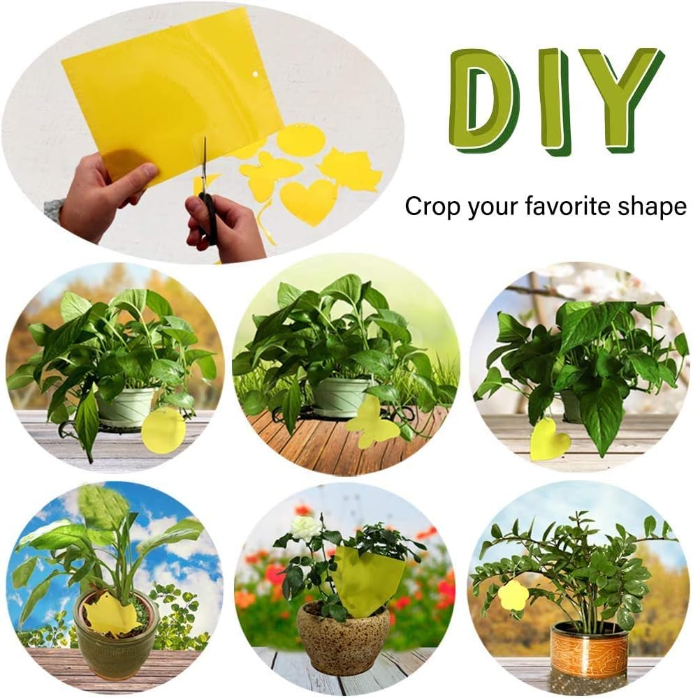 Dual-Sided Yellow Sticky Traps for Capturing Flying Plant Insects Like Fungus Gnats, Flying Aphid, Whiteflies, Leaf Miners, Other Flying Plant Insects 6x10 Inches, Twist Ties Included 60-Pack