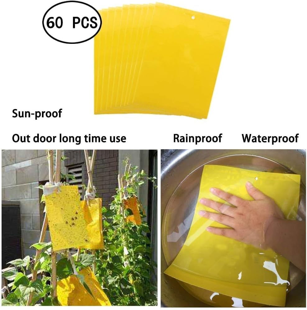 Dual-Sided Yellow Sticky Traps for Capturing Flying Plant Insects Like Fungus Gnats, Flying Aphid, Whiteflies, Leaf Miners, Other Flying Plant Insects 6x10 Inches, Twist Ties Included 60-Pack