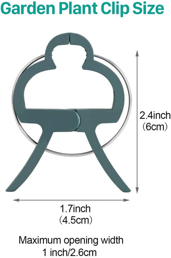 100 Pack Plant Support Clips for Flowers, Vines, Tomatoes - Garden Stem and Stalk Support for Upright Growth Large Size