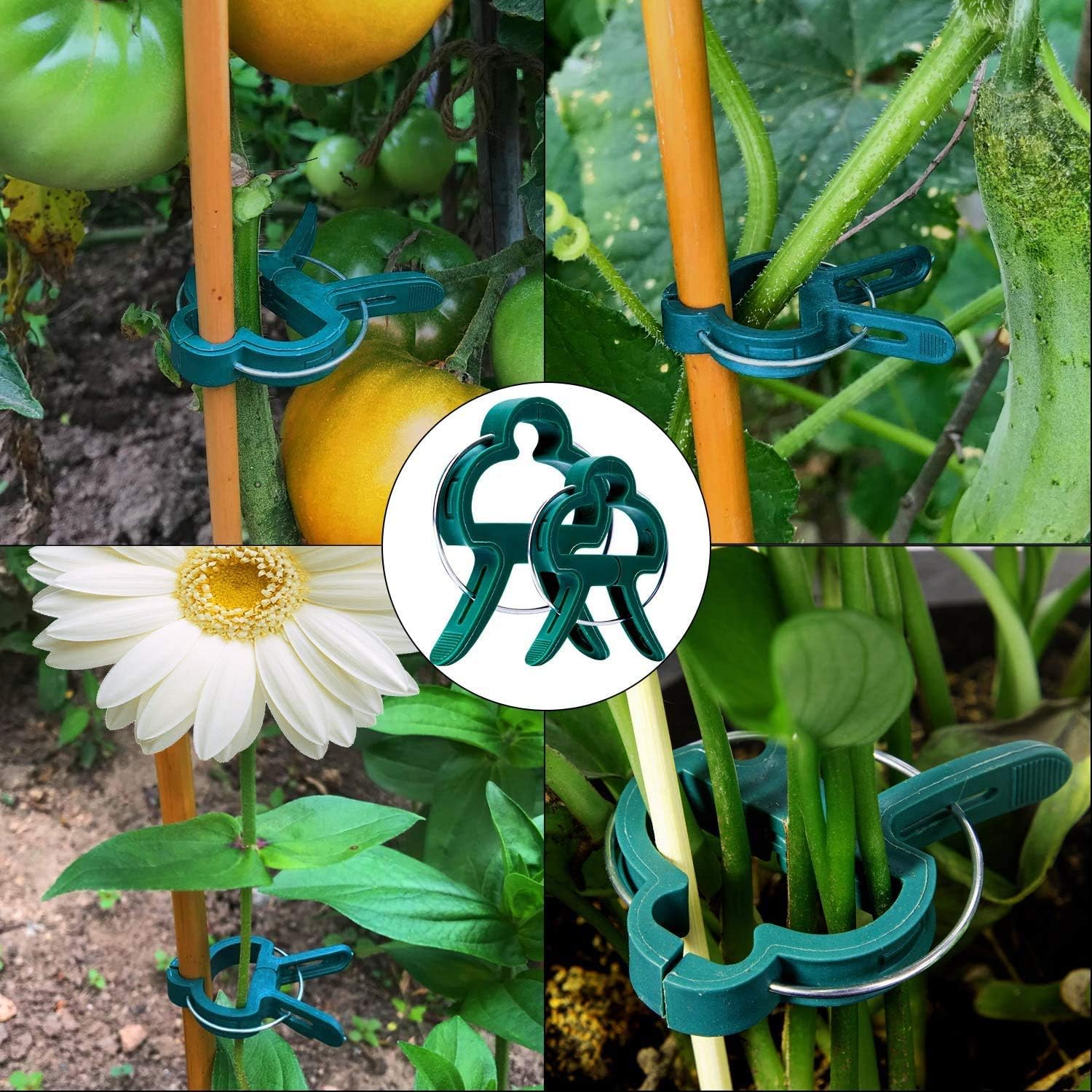 100 Pack Plant Support Clips for Flowers, Vines, Tomatoes - Garden Stem and Stalk Support for Upright Growth Large Size