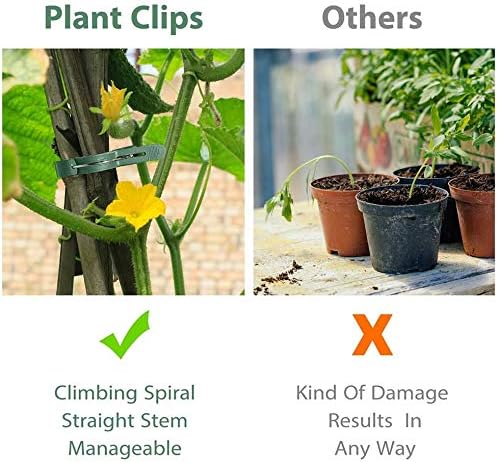 100 Pack Plant Support Clips for Flowers, Vines, Tomatoes - Garden Stem and Stalk Support for Upright Growth Large Size