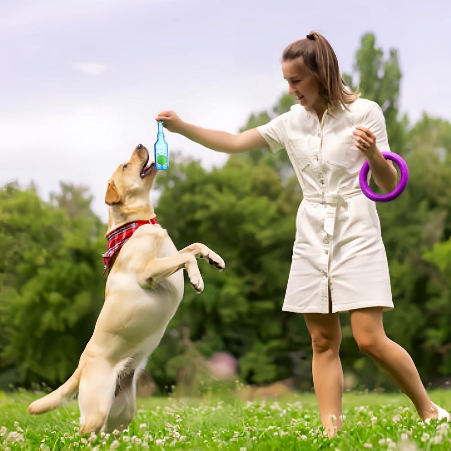 Water Bottle Dog Toy, Crunchnplay Bottle Toy,Crunchnplay Dog Chew Bottle Toys Squeaky,Rubber Water Bottle Toys with Tennis Ball,Interactive Fetch Toy for Play and Training,Small Blue, Small