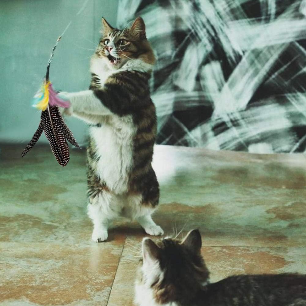 Feather Cat Toy Refill: Fits Da Bird-Handmade Natural Guinea Feather- by