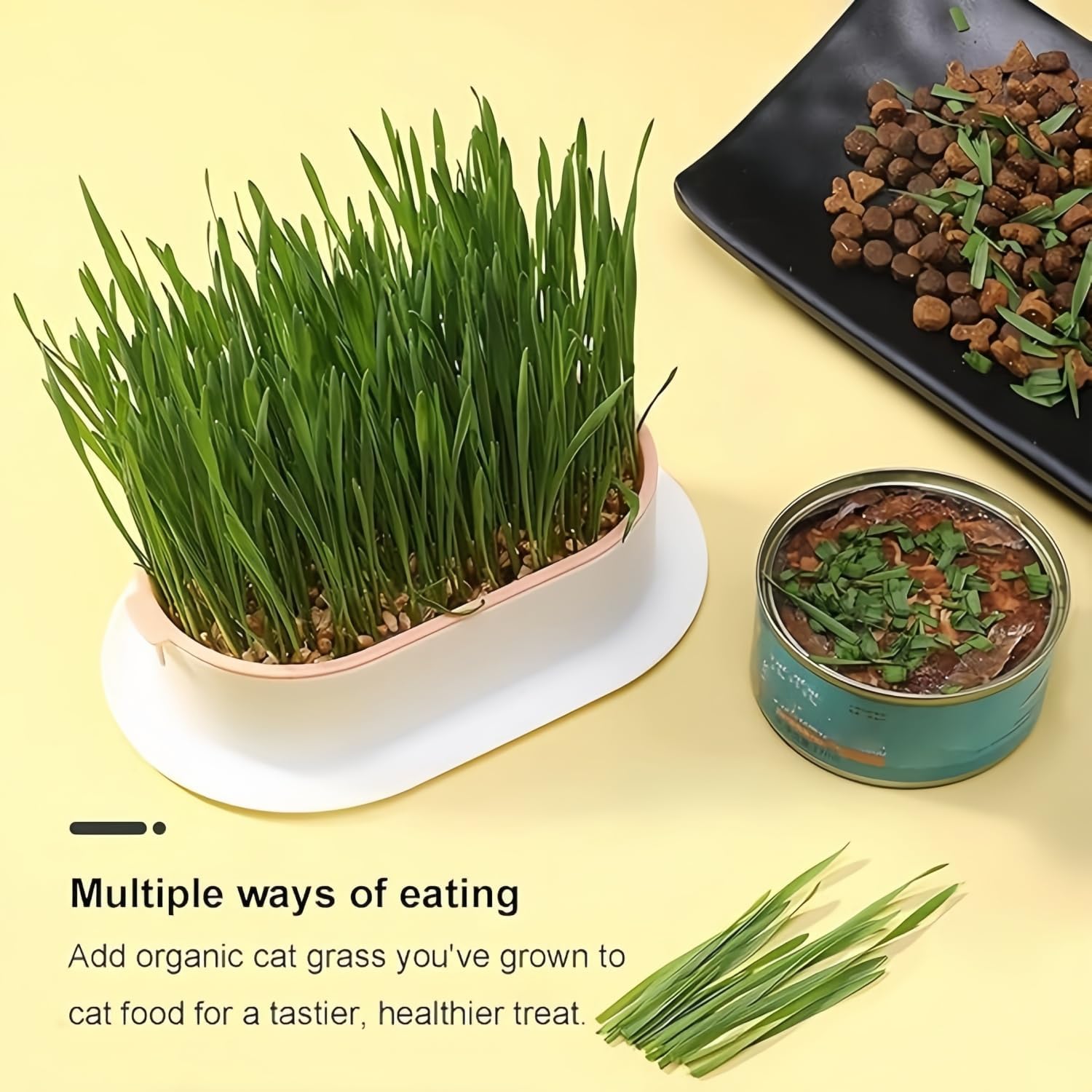 Cat Grass Planter Hydroponic Cat Grass No Seeds Included Catnip Wheatgrass Seed Sprout Tray Nursery Plant Plng Box for IndoorSoill