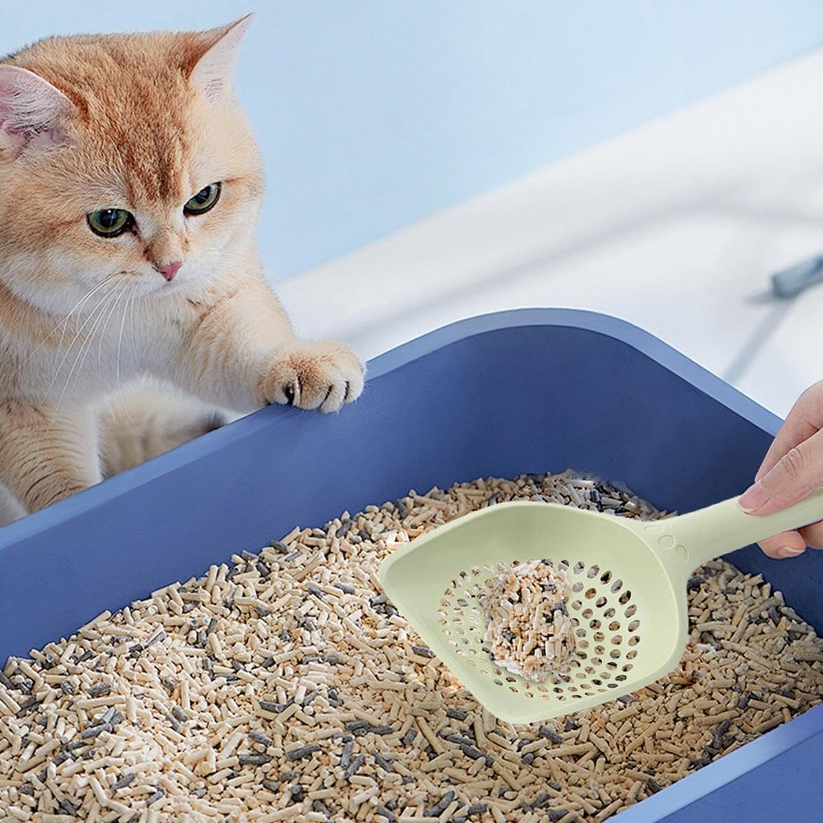 Cat Litter Scoop, Kitten Pooper Lifter, Non Stick Sifter Poop Cleaner Corner Shovel,Cat Feces Scoop, Cat Cleaning Supplies, A Variety Of Colors Available, Durable And Reliable B