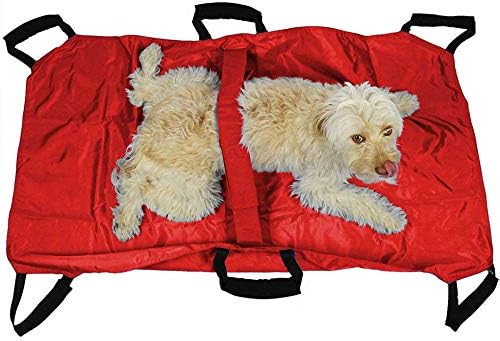 Transport Stretcher for Dogs - Emergency Animal Carrier with Safety Strap - 250 Pound Weight Limit - Pet Stretcher