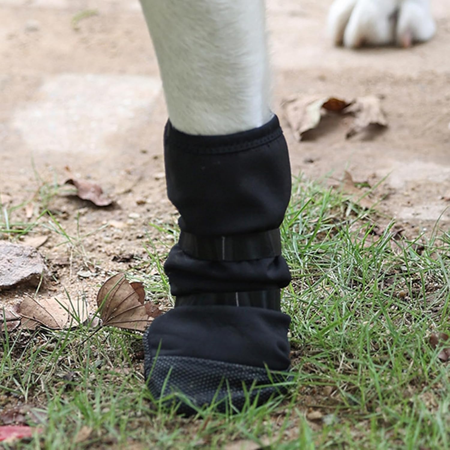 Dog Paw Wound Cover - Pet Waterproof Foot Covers | Claw Shoe Covers | Adjustable Dog Boots for Injured Paws | Breathable Four-Legged Claw Shoe Covers | Non-Slip Dog Injury Protection C