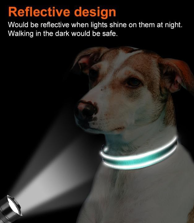 Reflective Dog Collar, Soft Neoprene Padded, Metal D-Ring, Nylon Pet Collar Adjustable for Large Dogs, Teal, L Teal Pack of 1
