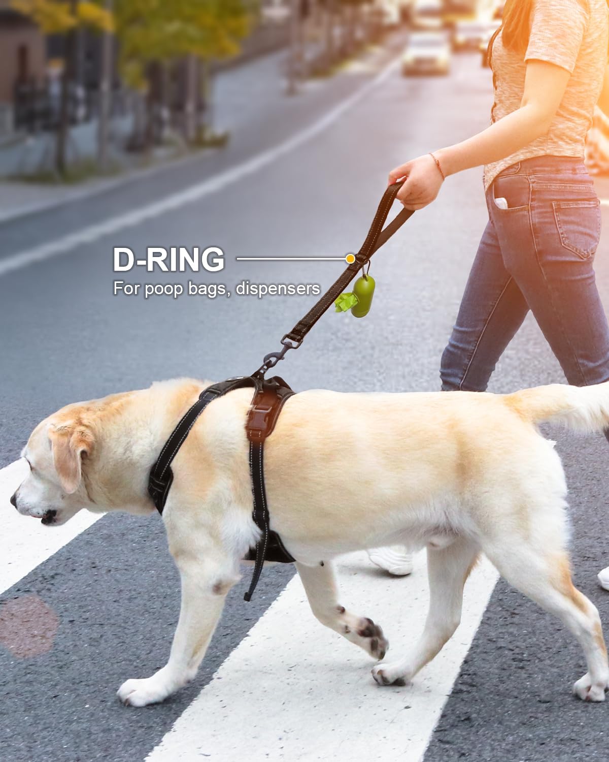 Strong Short Dog Leash 18 Inch, 1.2 Inch Wide, Heavy Duty, Padded Handle for Traffic Control, Reflective Medium and Large Dogs Walking Training, Black 1.5 ft