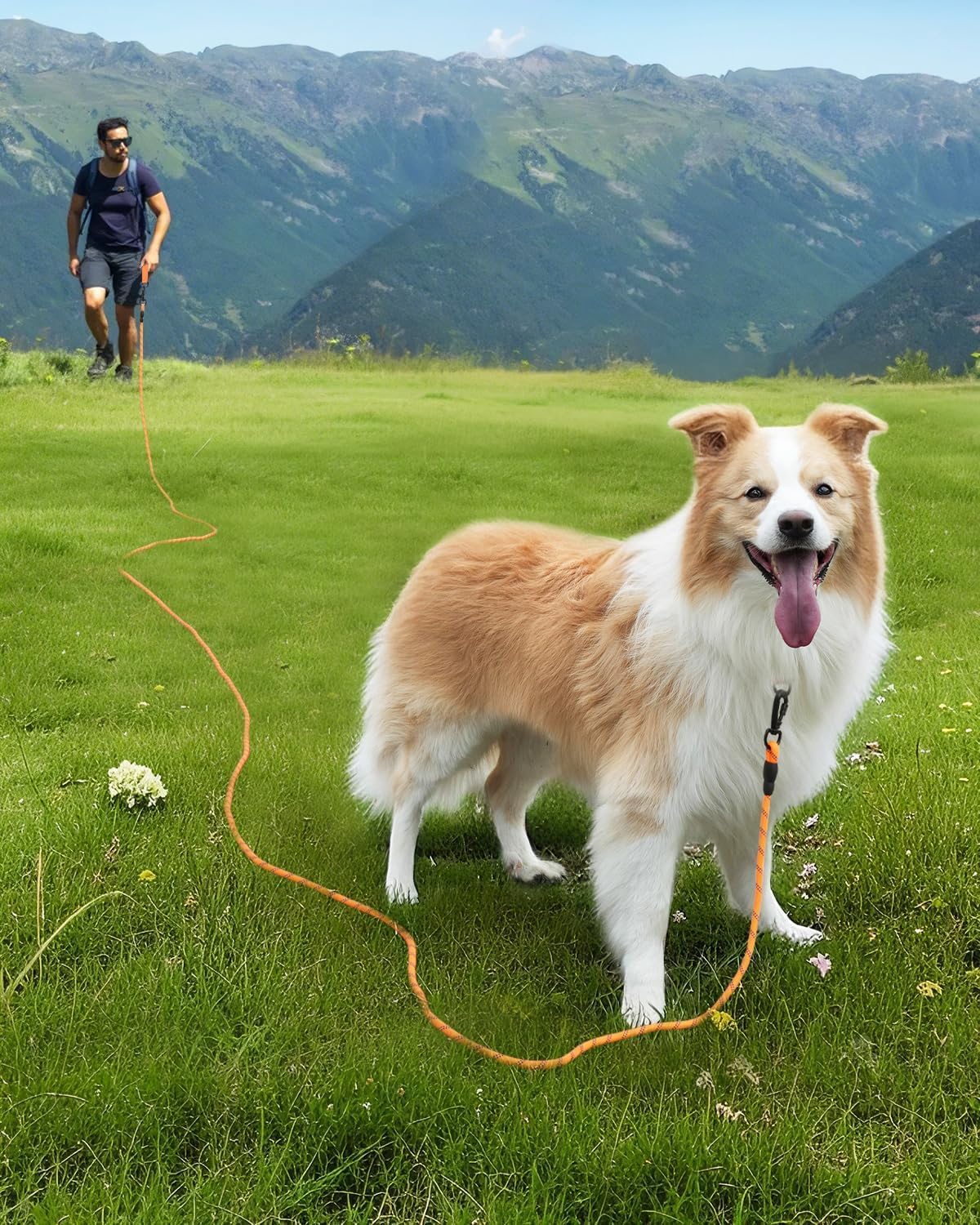 Long Leash for Dog with Removable Padded Handle, Heavy Duty Lead Large Medium Dogs,15FT/30FT/50FT/65FT Reflective Training Play, Camping, Backyard Tie Out, Orange, 30FT Orange