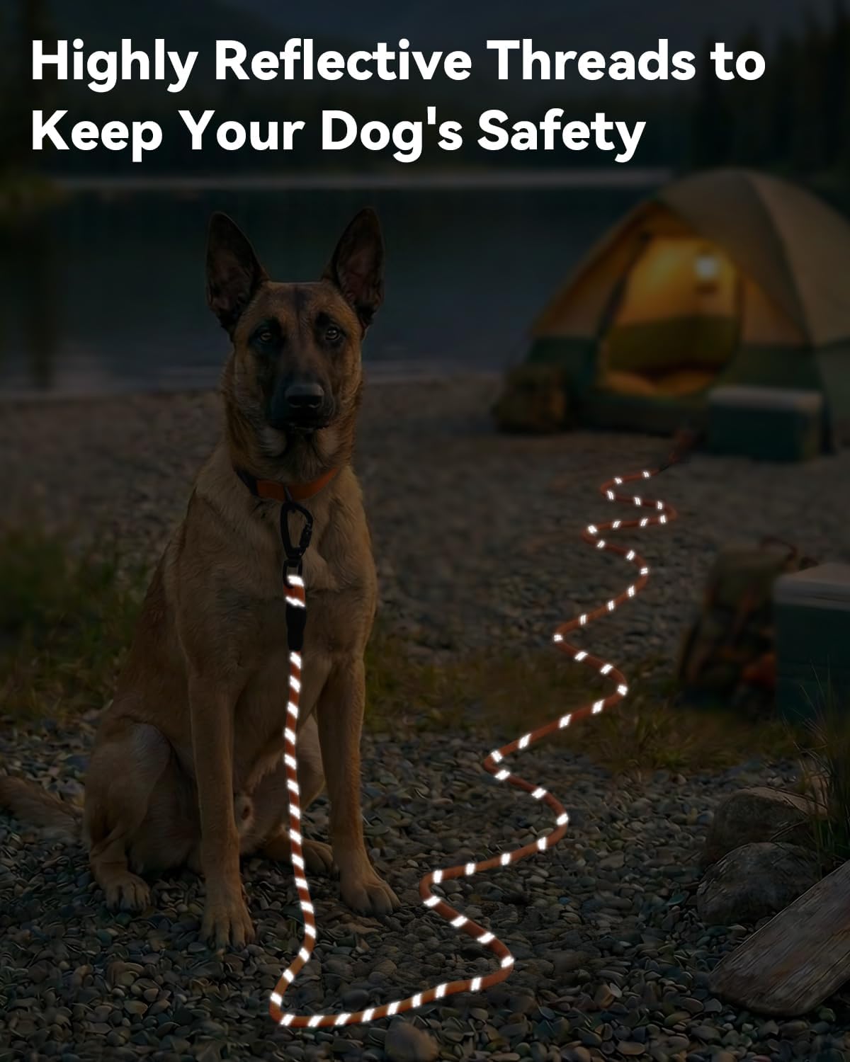 Long Leash for Dog with Removable Padded Handle, Heavy Duty Lead Large Medium Dogs,15FT/30FT/50FT/65FT Reflective Training Play, Camping, Backyard Tie Out, Orange, 30FT Orange