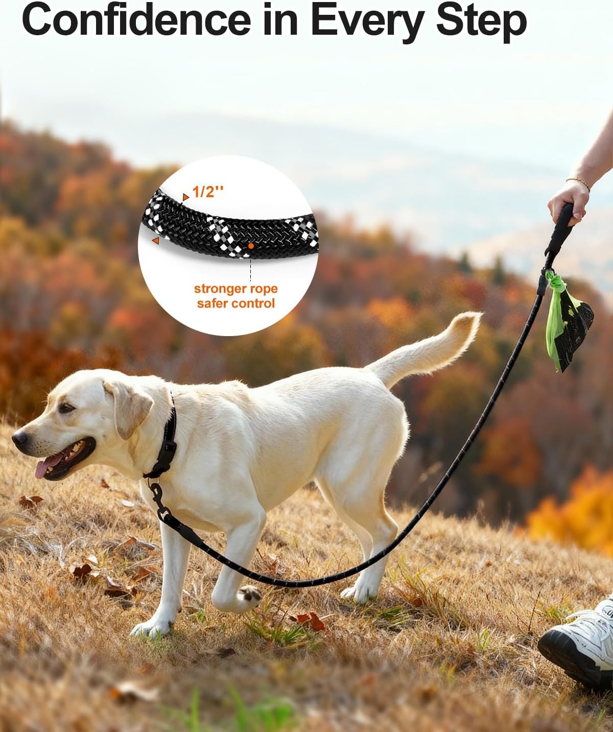 Dog Leash for Large Dogs, Heavy Duty Nylon Leashes with Comfortable Padded Handle and Highly Reflective Threads, Ideal Walking Training, Black, 6'×1/2'' Black 6FT×1/2'' 20 120 lbs