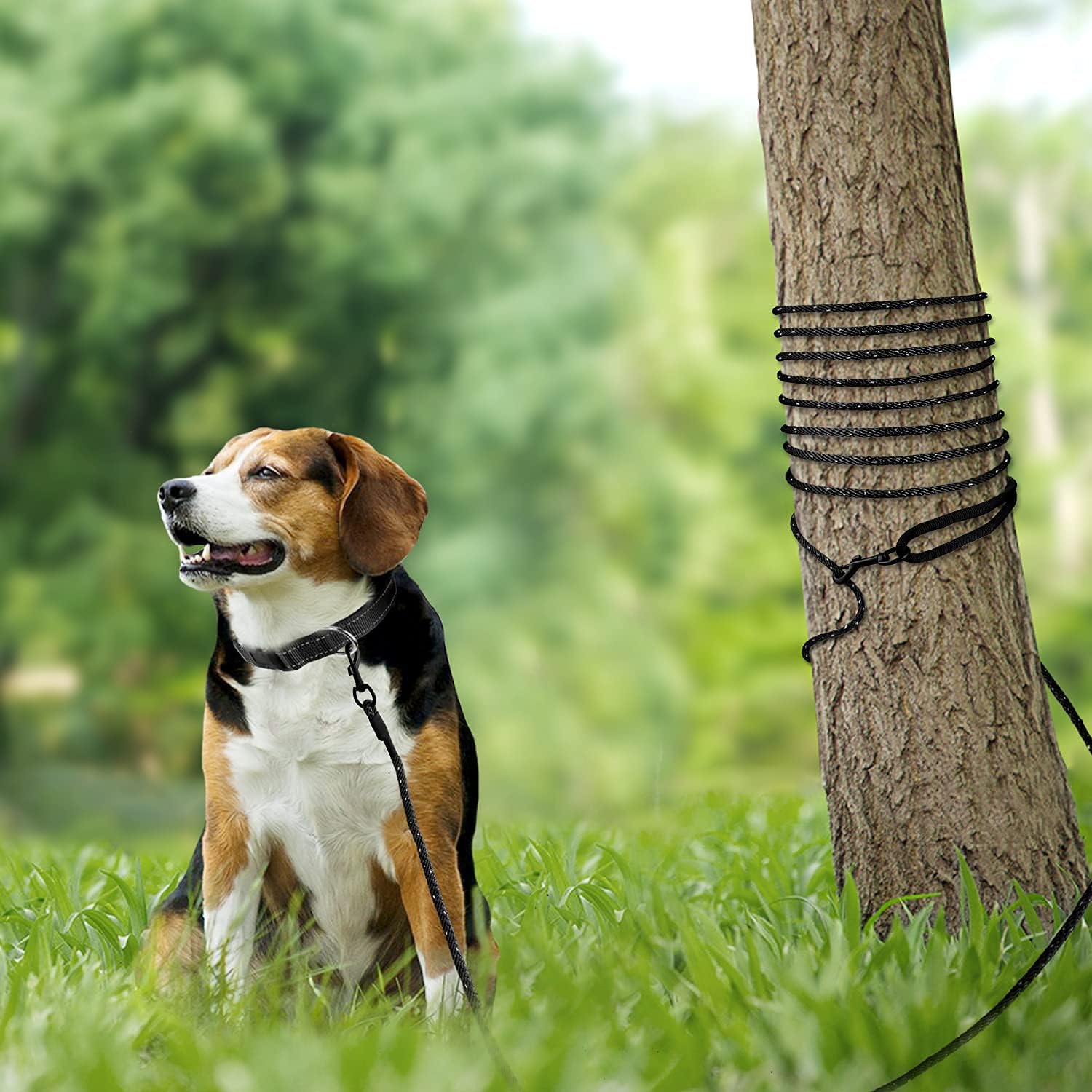 Long Dog Training Leash, 30 FT Tie Out Rope Check Cord with Padded Handle, Reflective Recall Lead for Puppy and Small Dogs, Black ft Pack of 1