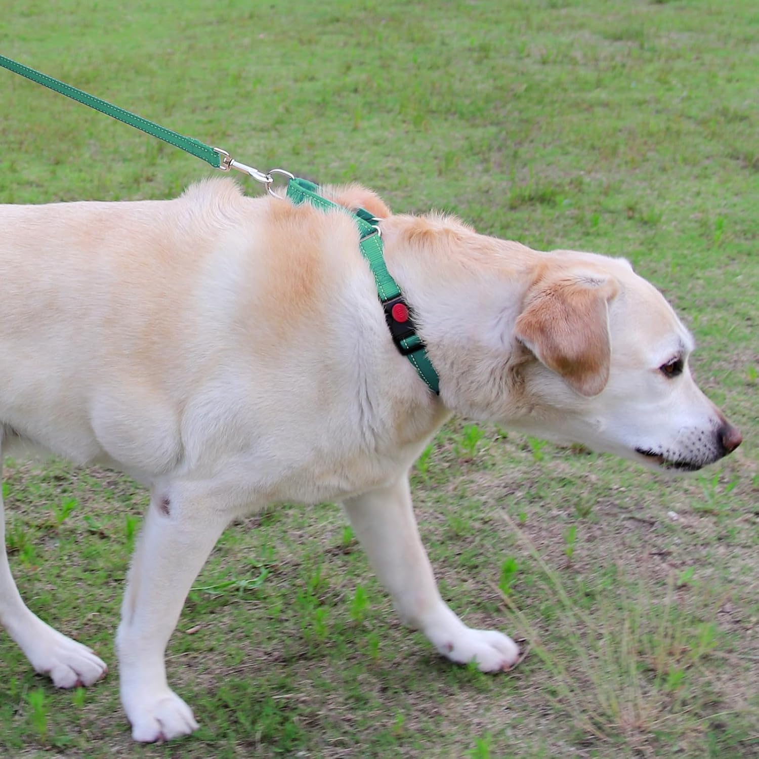 Martingale Dog Collar 12.5-16'' , 6FT Double Handle Leash for Training, Teal -