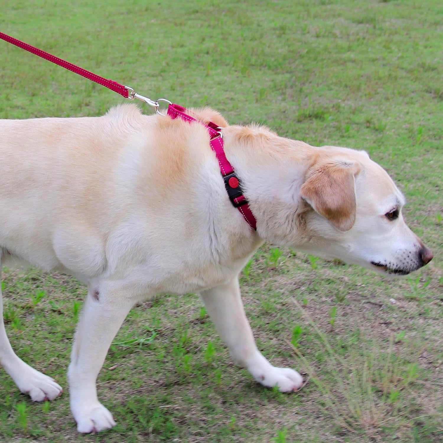 Martingale Dog Collar 16-20" , 6FT Double Handle Leash for Training, Hotpink -