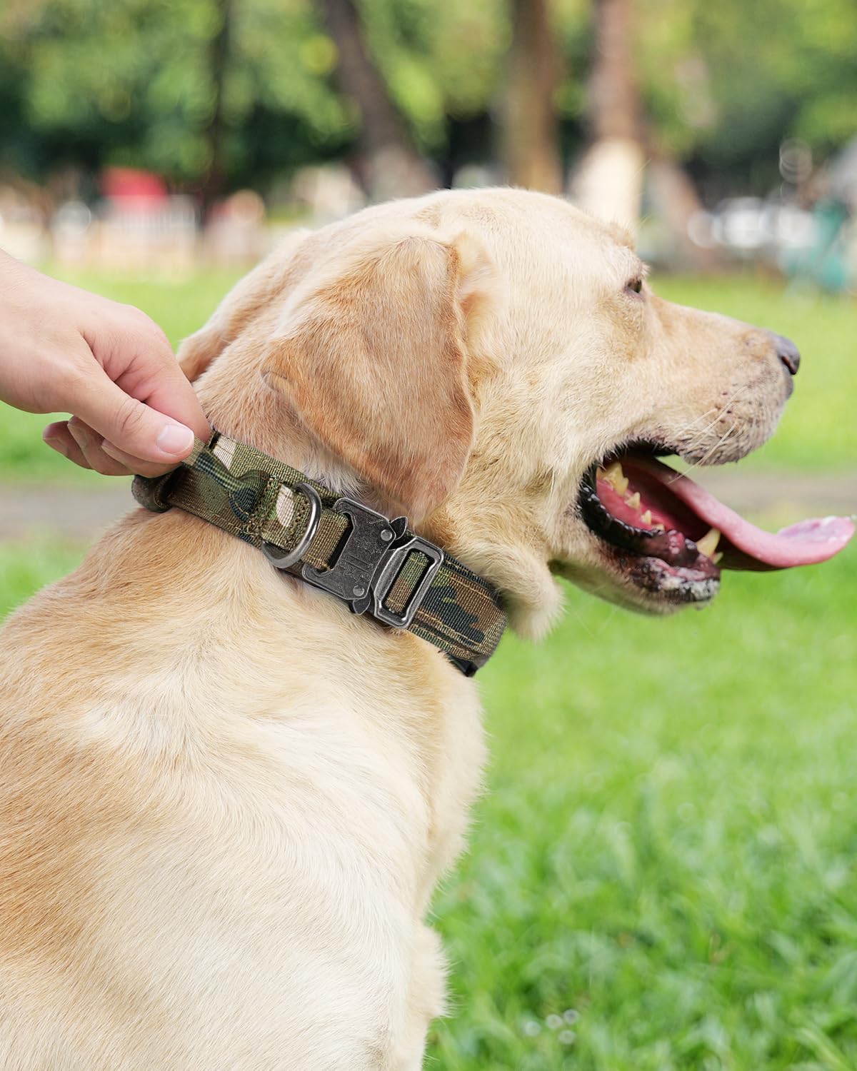 Tactical Dog Collar 17"-21" and Leash Set, Shock Absorbing Bungee Adjustable Strong Collar with Handle for Large Dogs Camouflage, L -