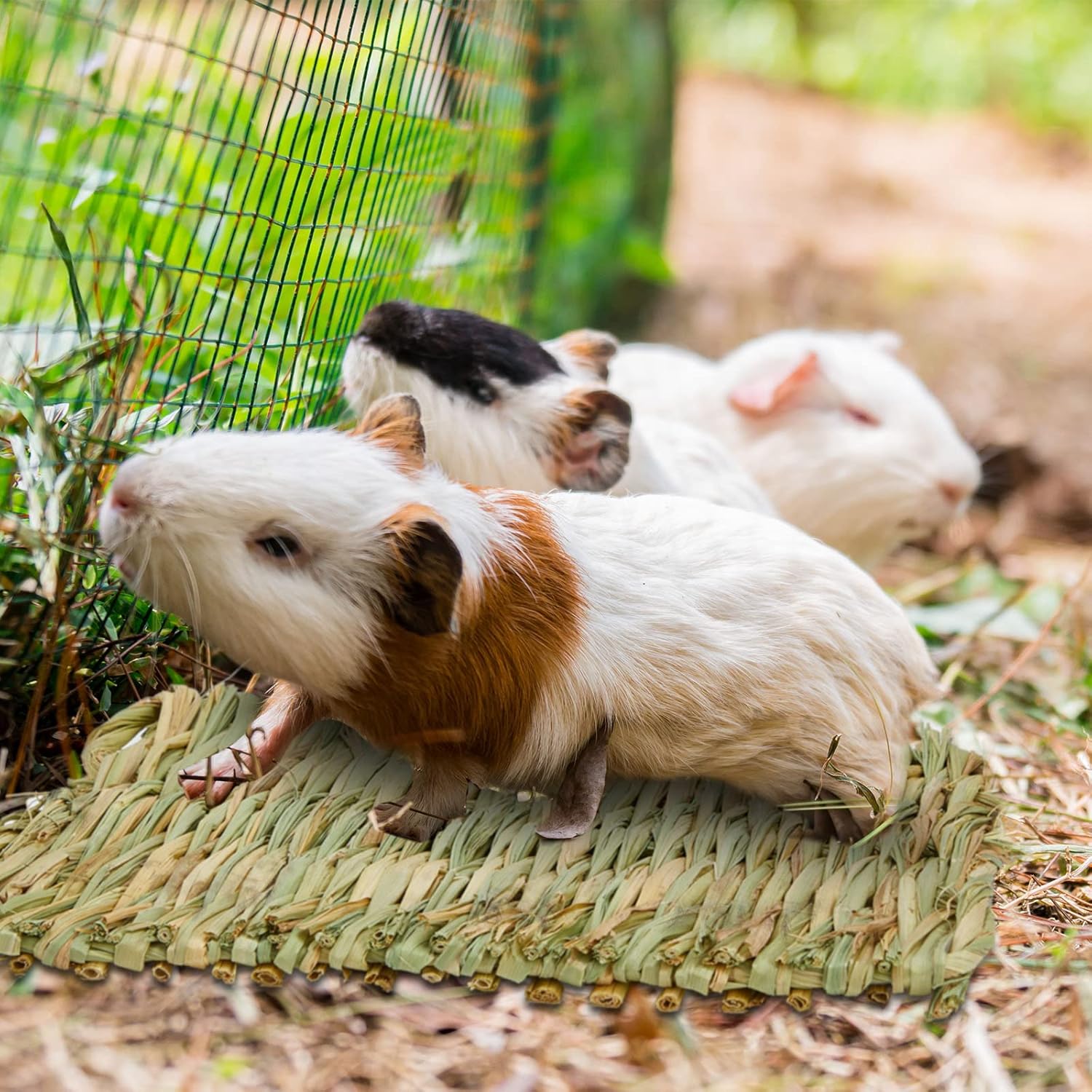 40 Pcs Grass mats for Rabbits Bunny Mat Woven Straw Bed Rabbit Sleeping Natural Chew Toy Parrot Chinchilla Squirrel Hamster Cat Dog Small Animal -