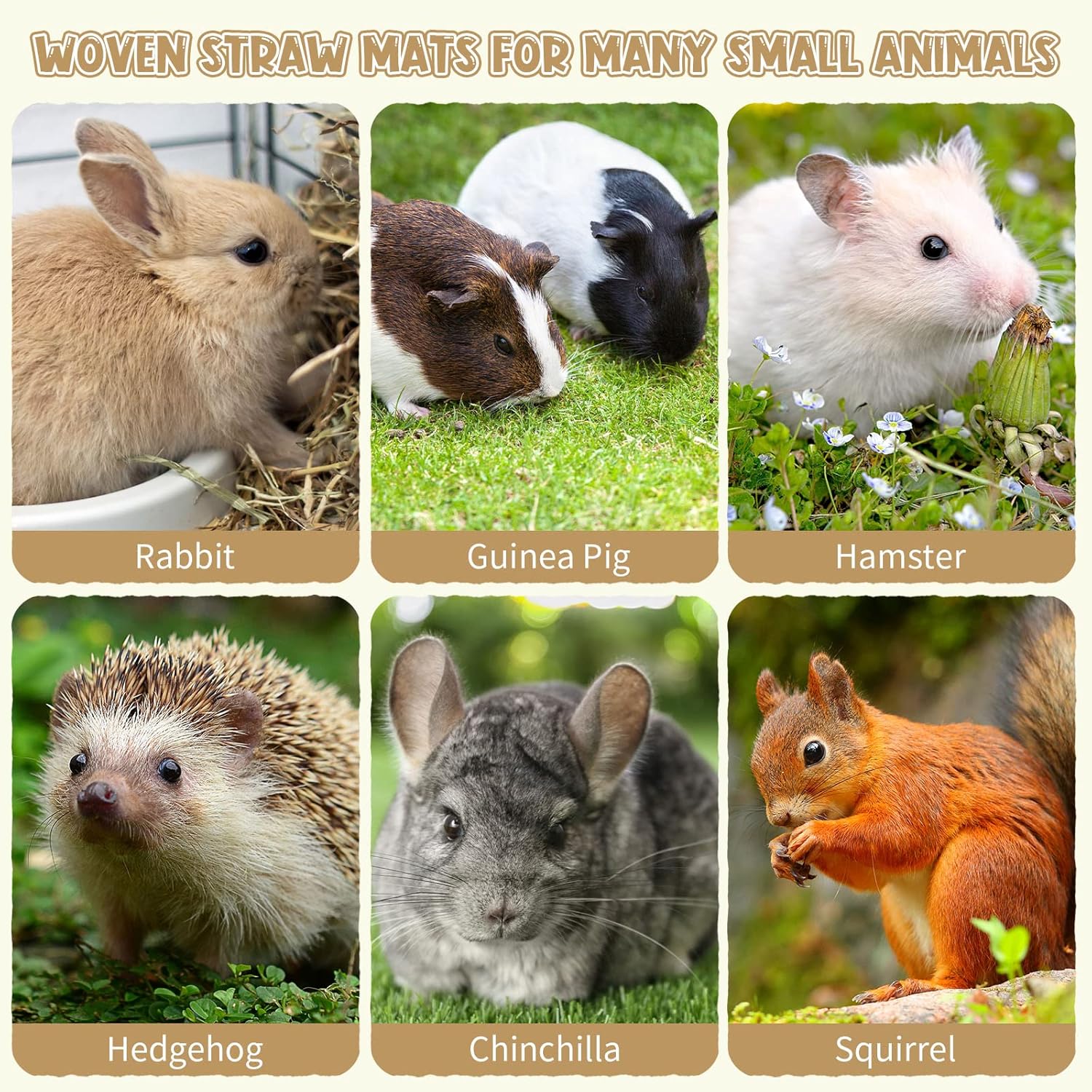 40 Pcs Grass mats for Rabbits Bunny Mat Woven Straw Bed Rabbit Sleeping Natural Chew Toy Parrot Chinchilla Squirrel Hamster Cat Dog Small Animal -