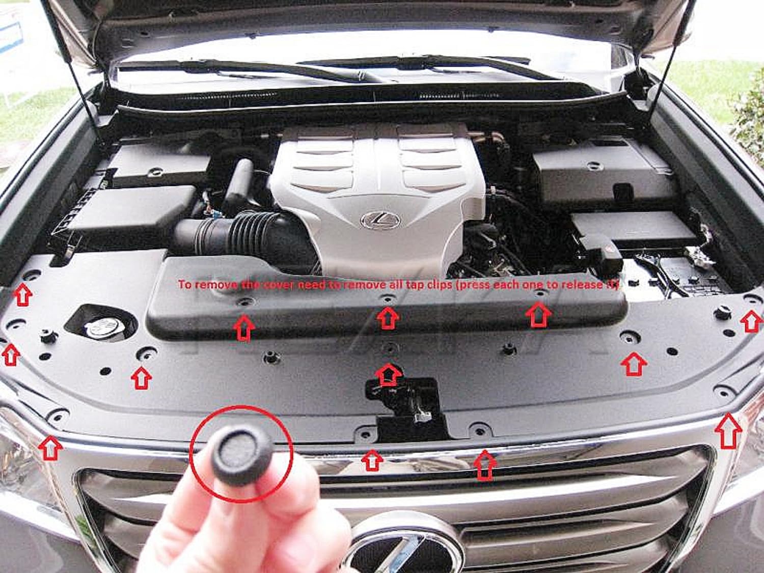 Rexka 30pcs Engine Cover Radiator Support Air Deflector Side Shield Retainer Clip 90467-07217 for Toyota Lexus 4Runner Avalon C-HR Camry Corolla Highlander Land Cruiser Mirai Prius Sienna ES RX UX GS