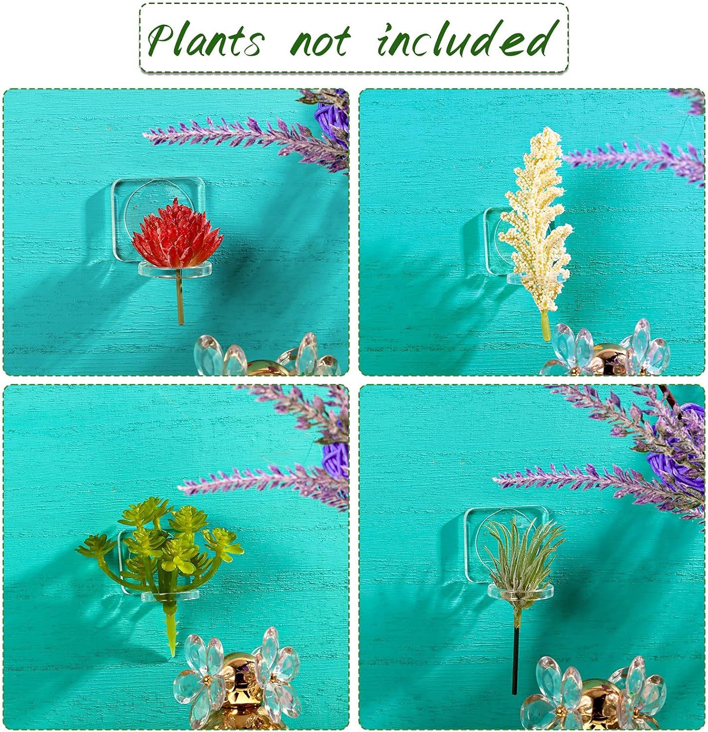 12 Pcs Acrylic Air Plants Holder Hanger with Mounting Tape or Hanging Air Plants on Glass Display Home Decoration