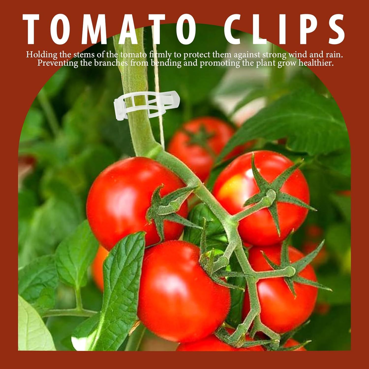 300 PCS Plant Support Clips, Plastic Garden Plant Ties, Tomato Clips Trellis or Tomato Cucumber lower Squash Vine, 1” Inner Diameter or Climbing Plants